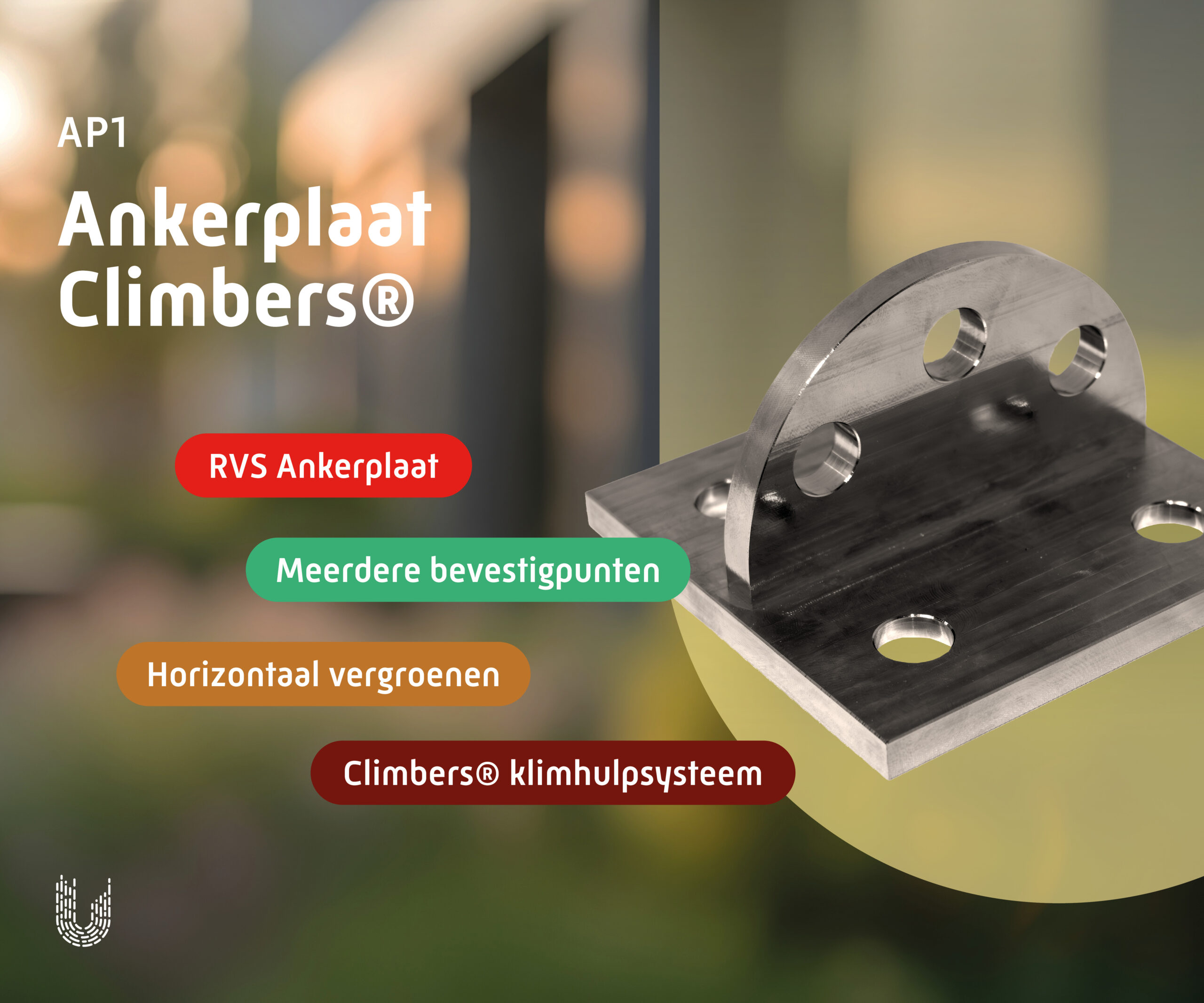 AP1 | Ankerplaat