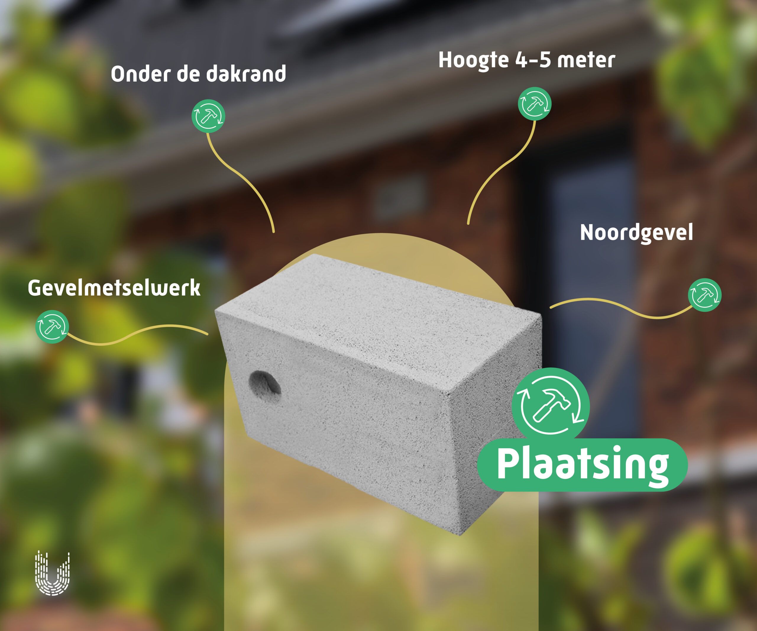 HMP2 | Huismuskast