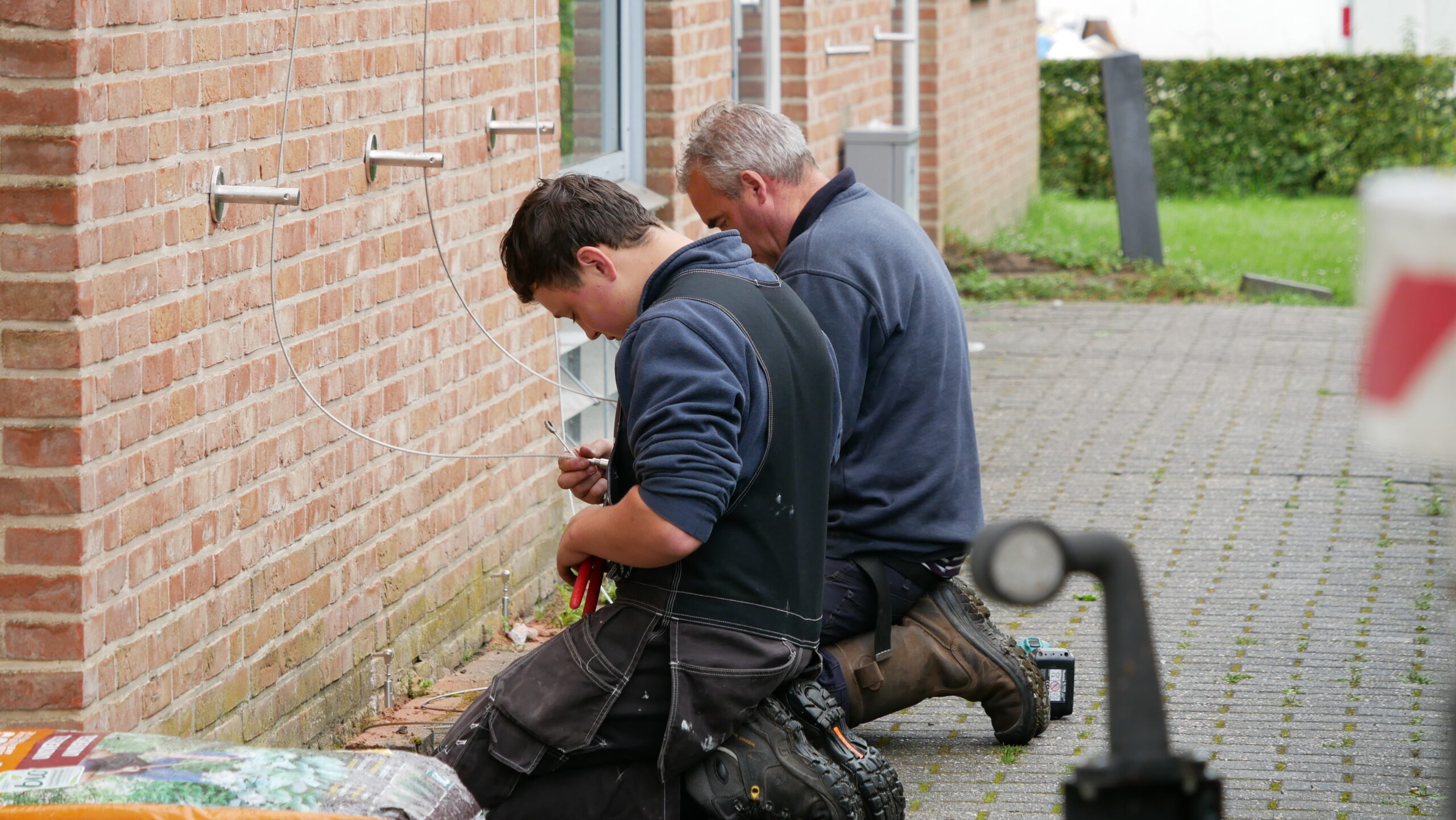 Natuurinclusief verduurzamen Hattem met groengevels en groendaken Green Deal
