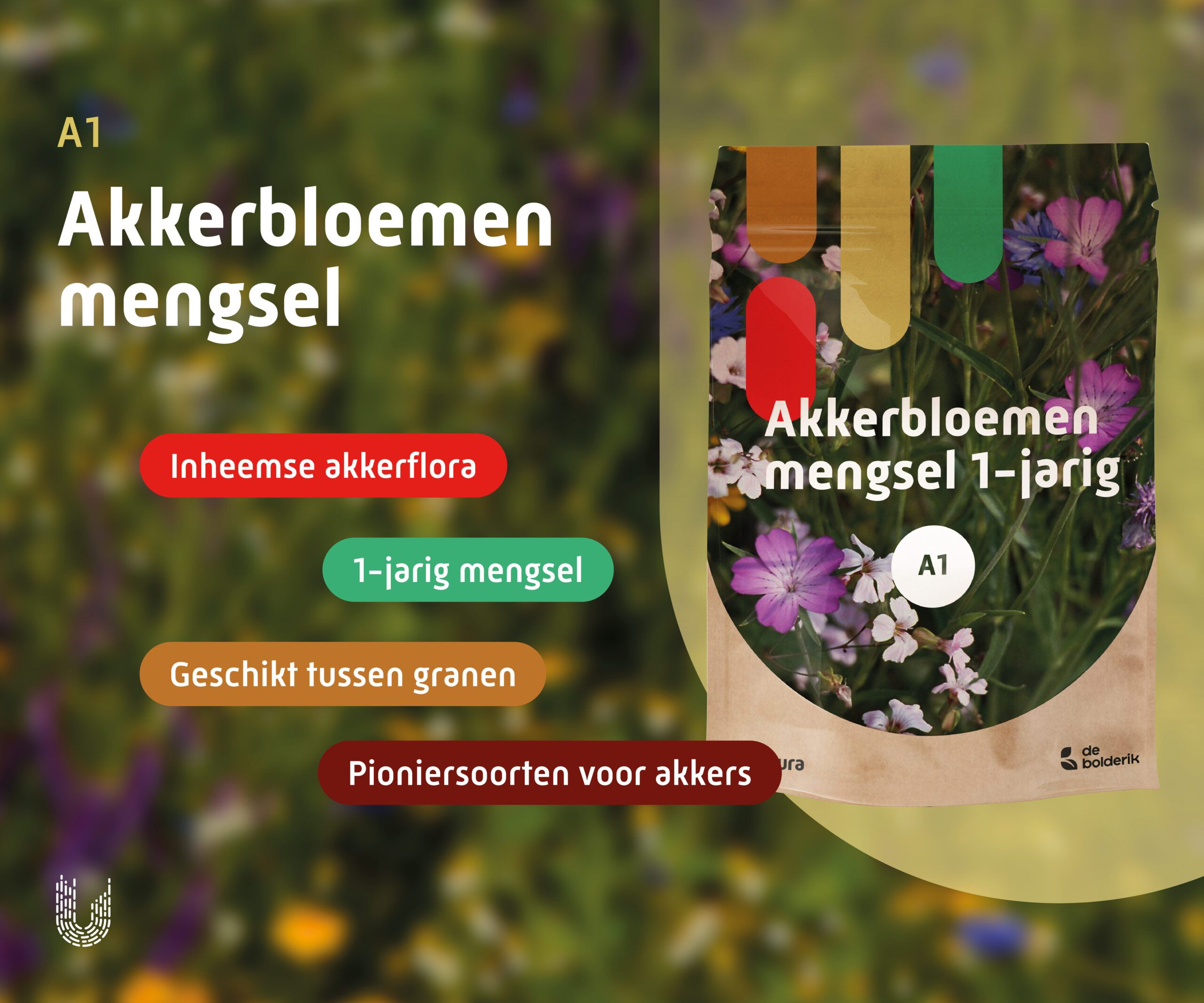 A1 | Akkerbloemenmengsel 1-jarig