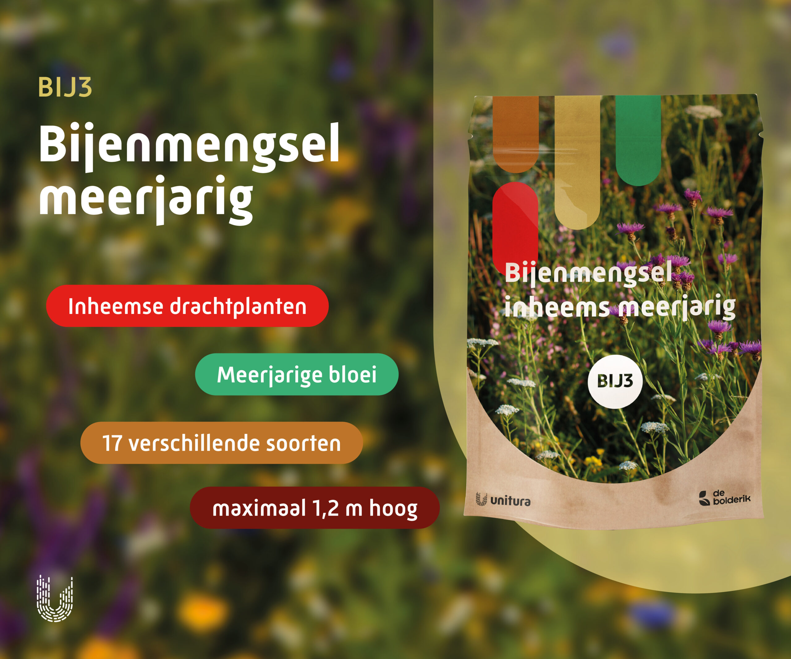 BIJ3 | Bijenmengsel Inheems Meerjarig