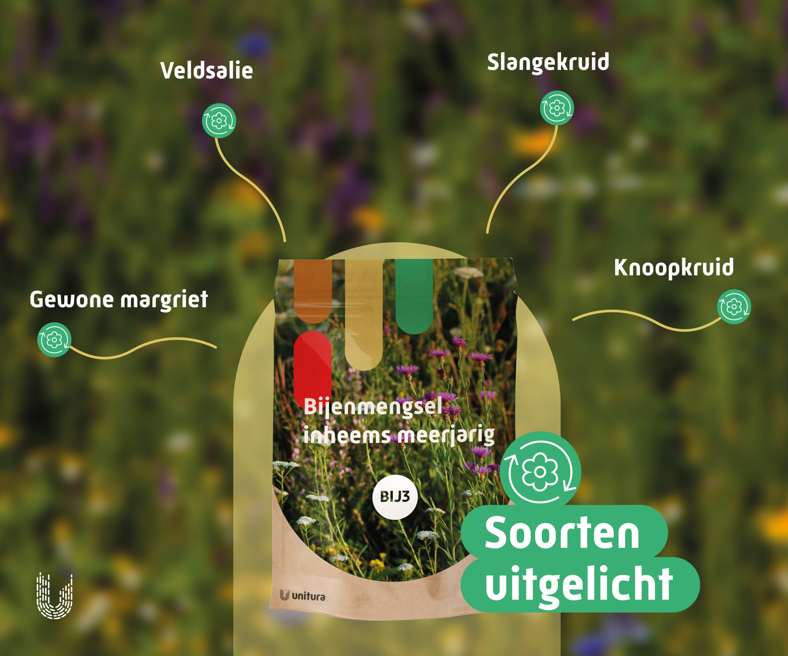 BIJ3 | Bijenmengsel Inheems Meerjarig