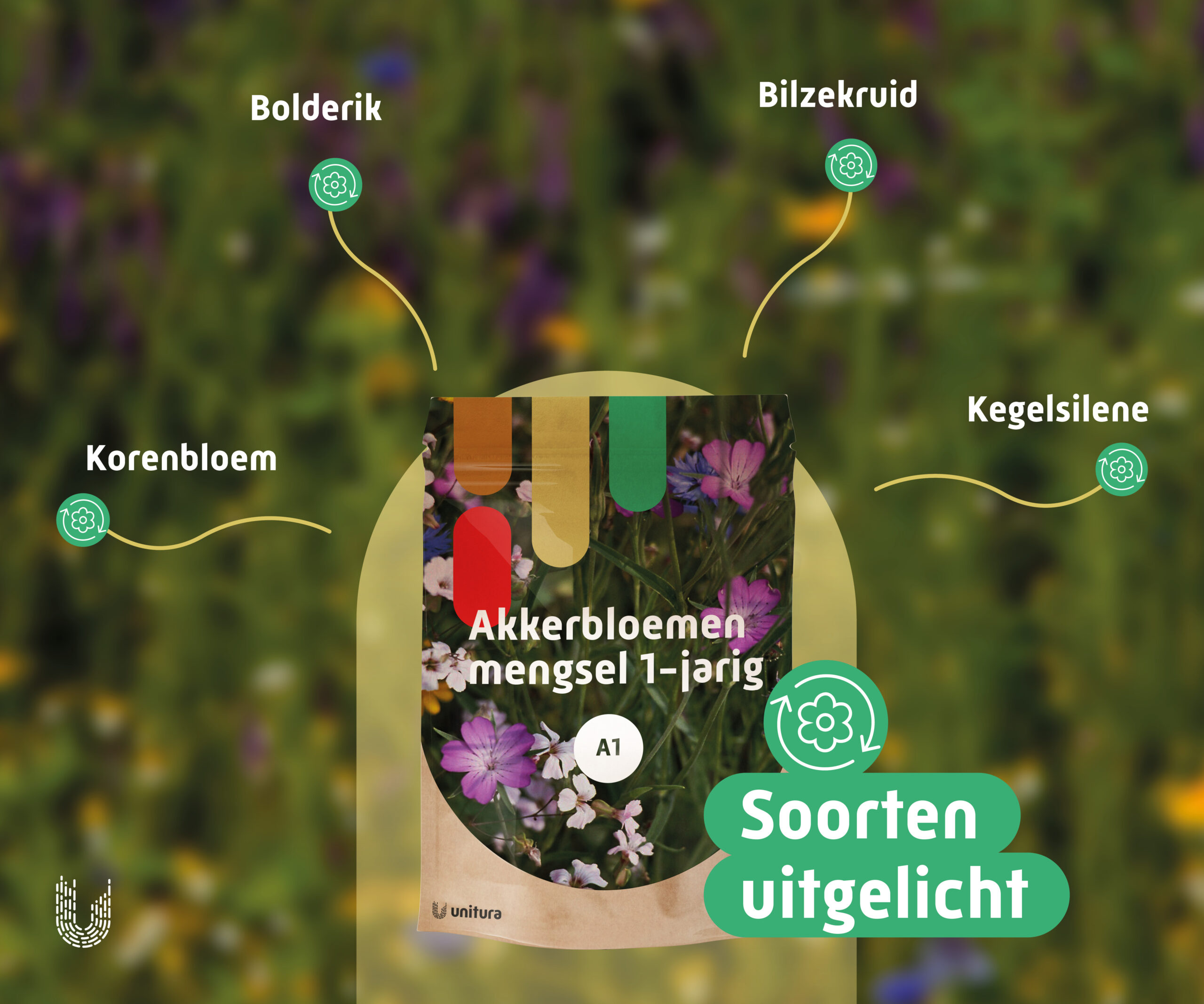 A1 | Akkerbloemenmengsel 1-jarig