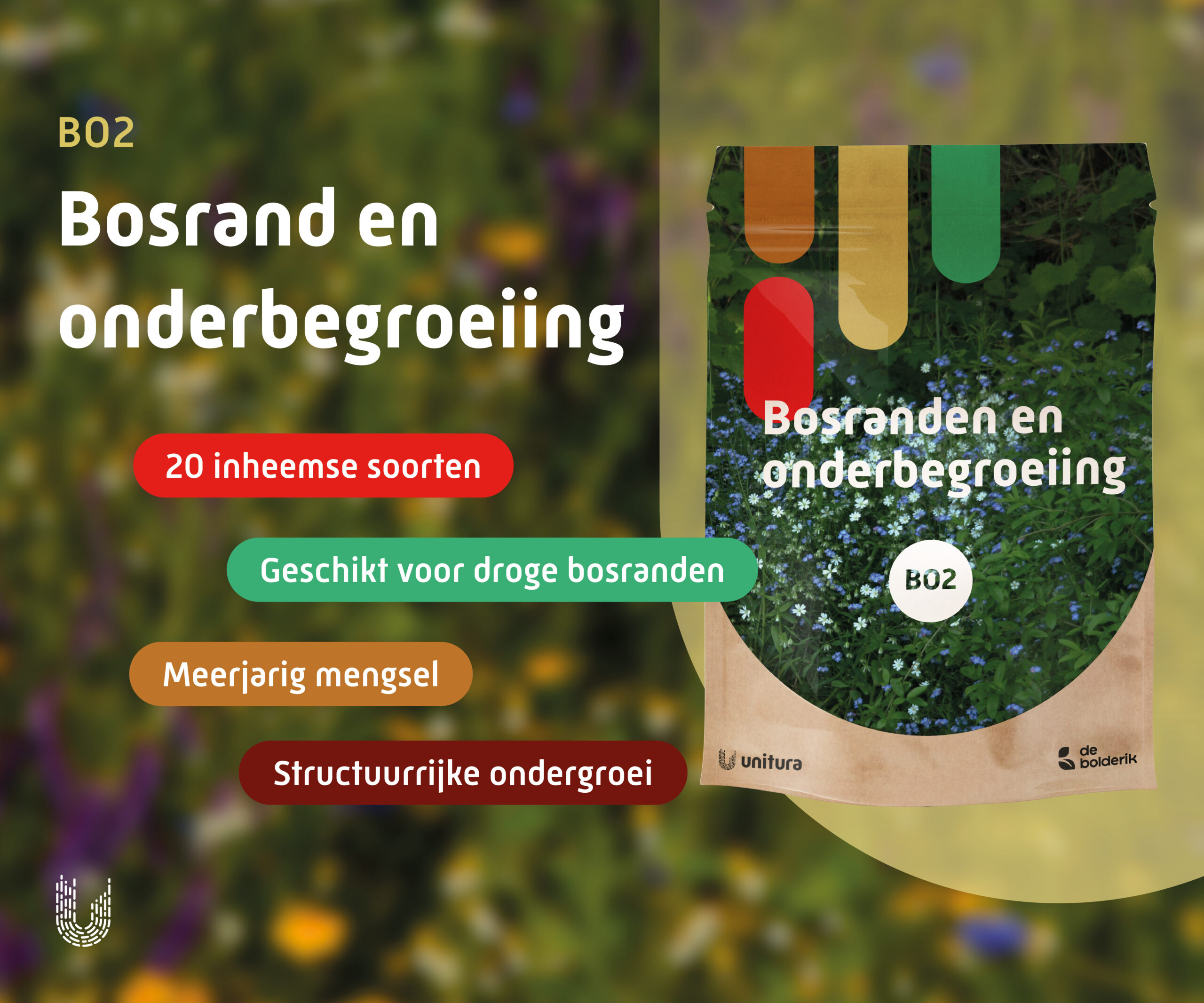 BO1 | Bosranden en onderbegroeiingsmengsel