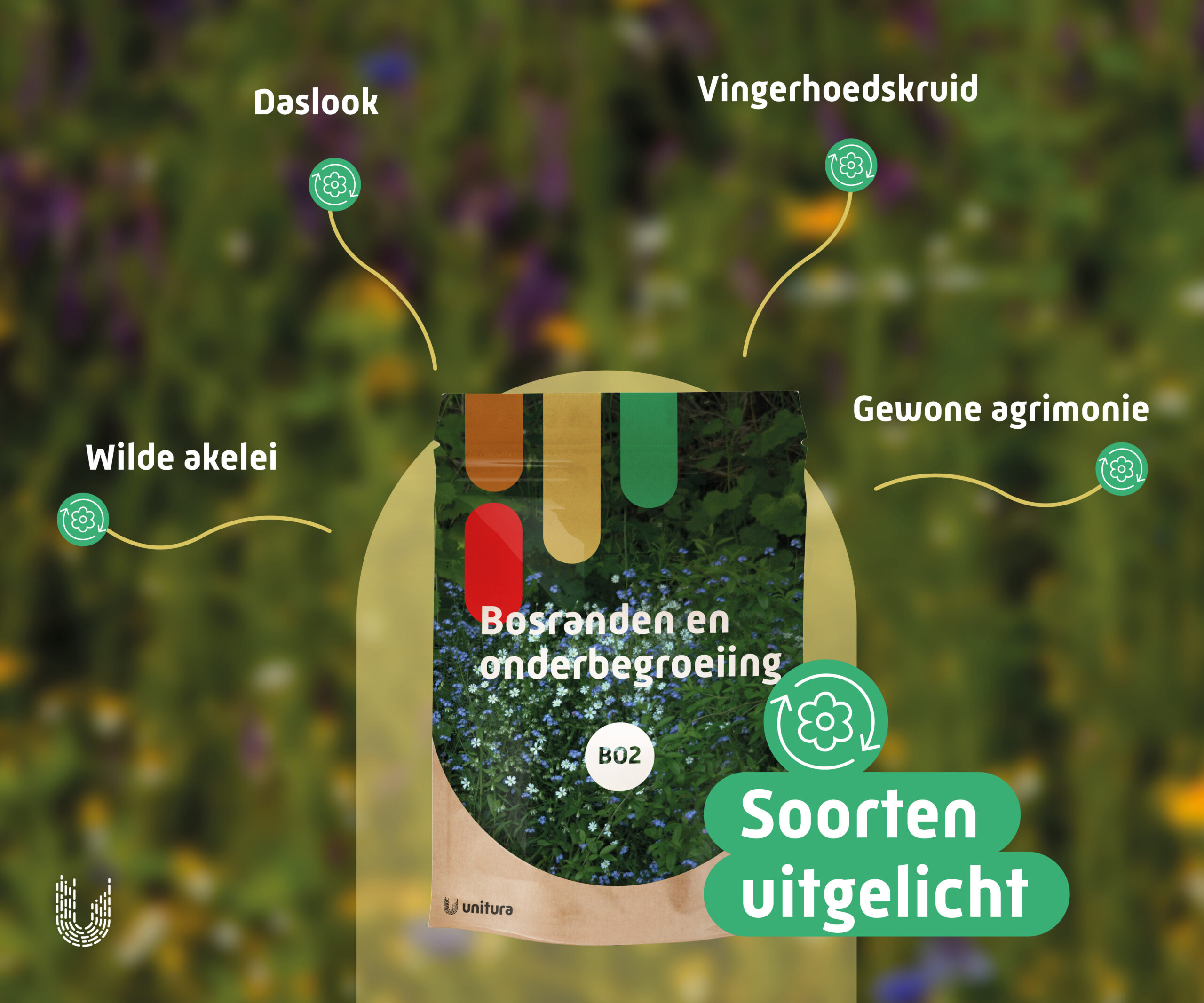 BO1 | Bosranden en onderbegroeiingsmengsel