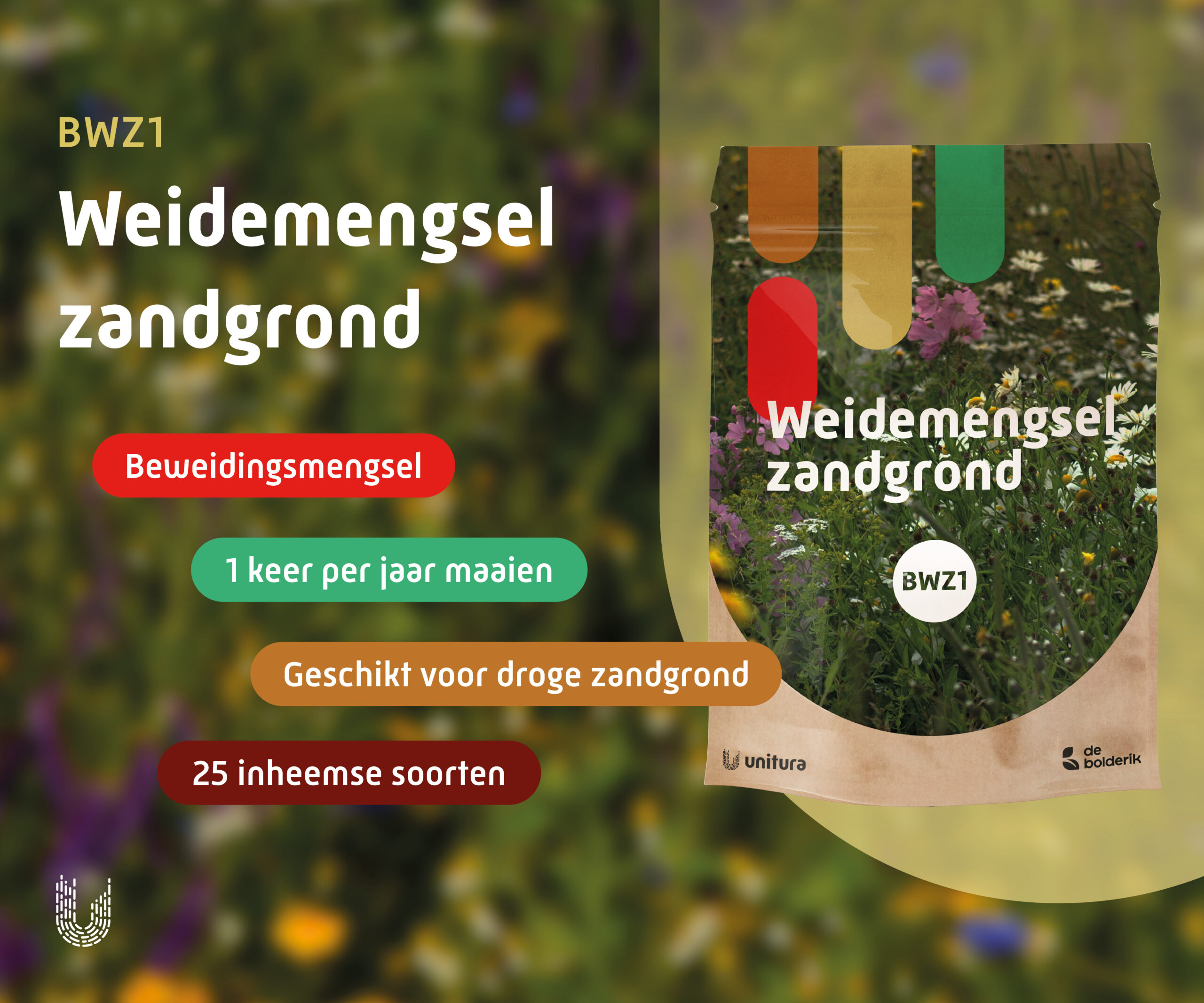 BWZ1 | Weidemengsel bloemrijk zandgrond