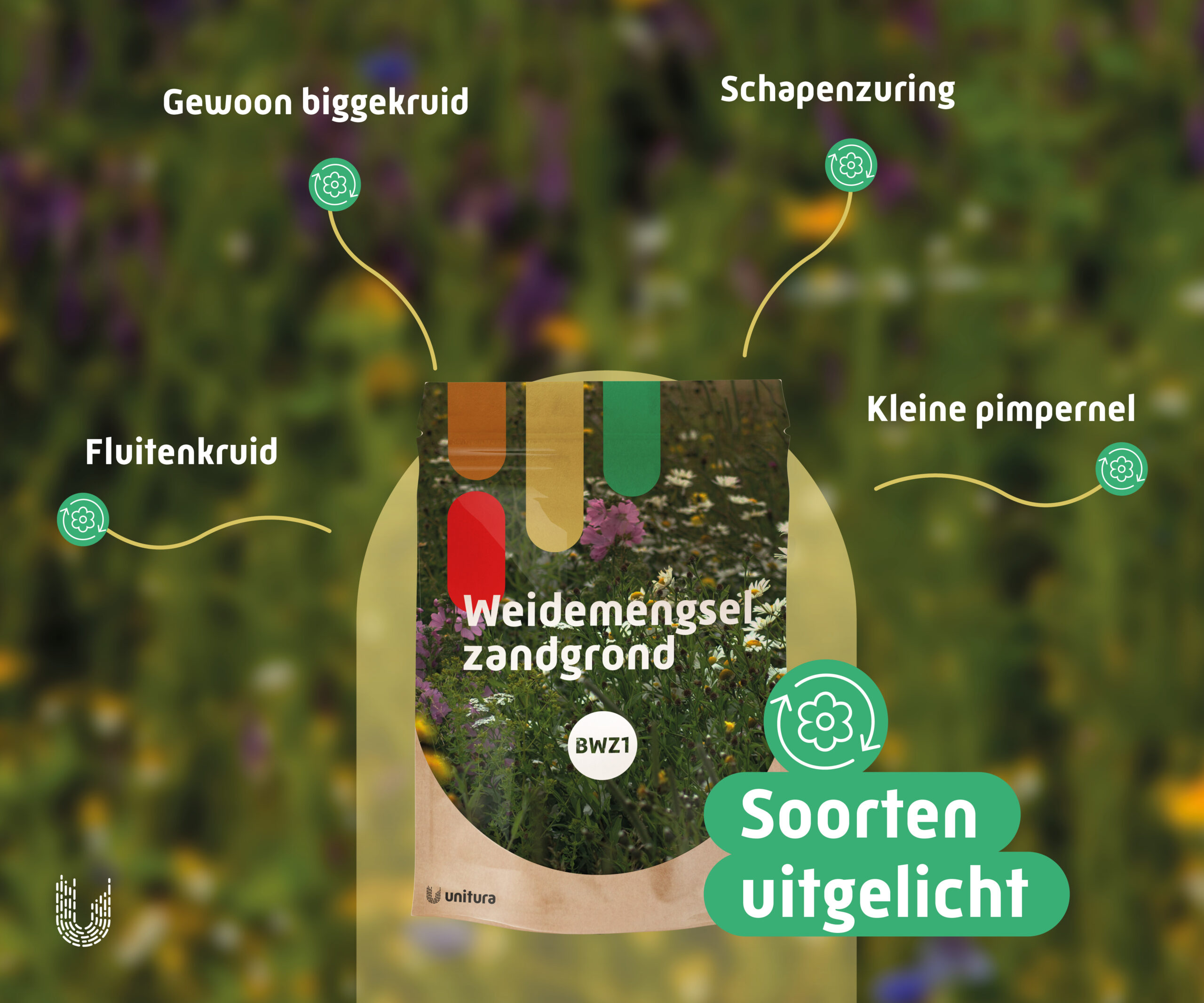 BWZ1 | Weidemengsel bloemrijk zandgrond