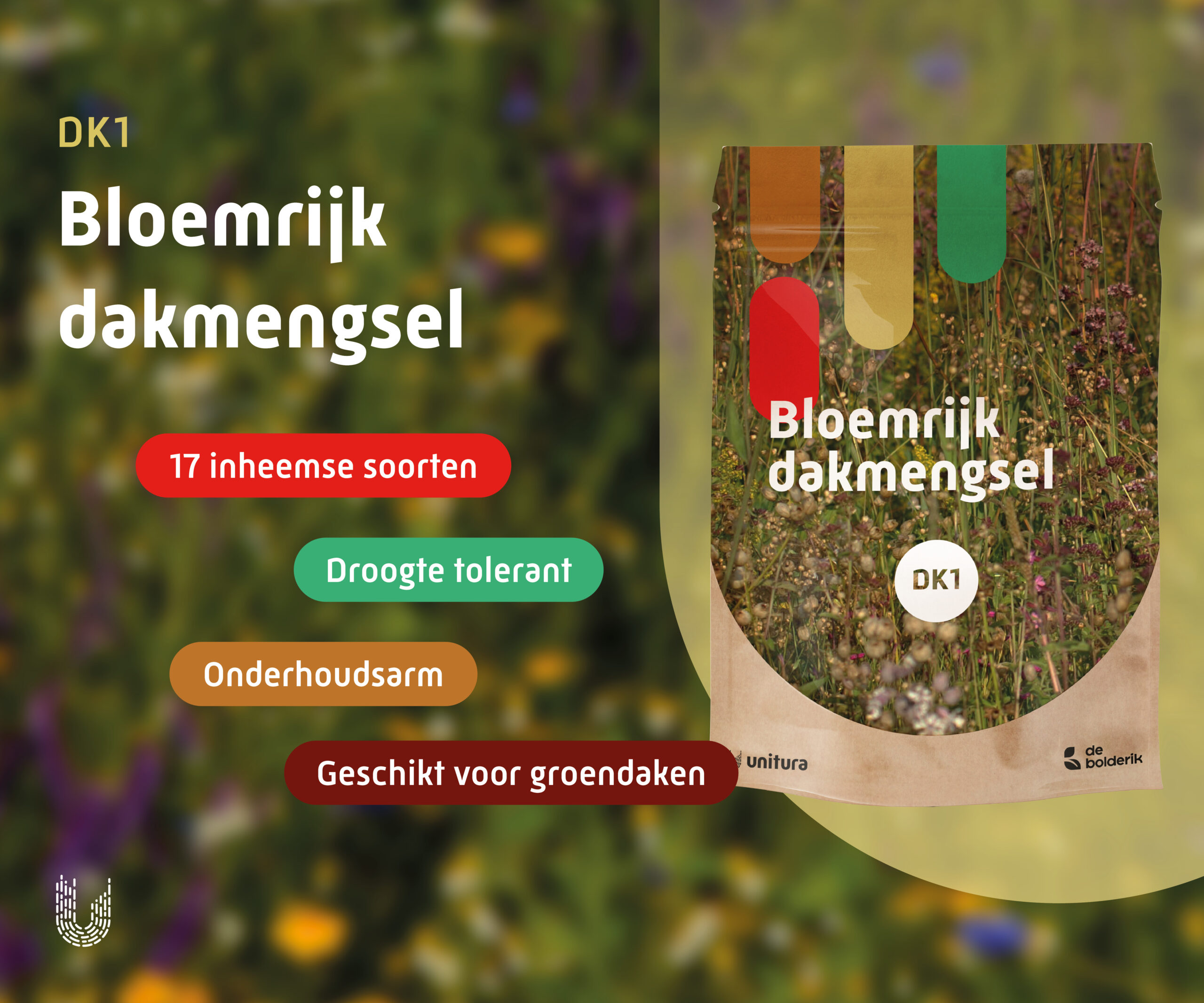 DK1 | Bloemrijk dakmengsel