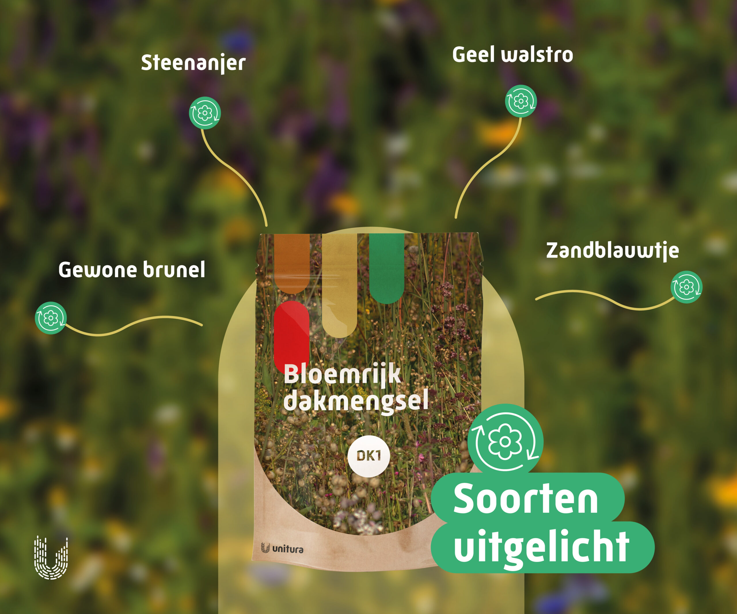 DK1 | Bloemrijk dakmengsel