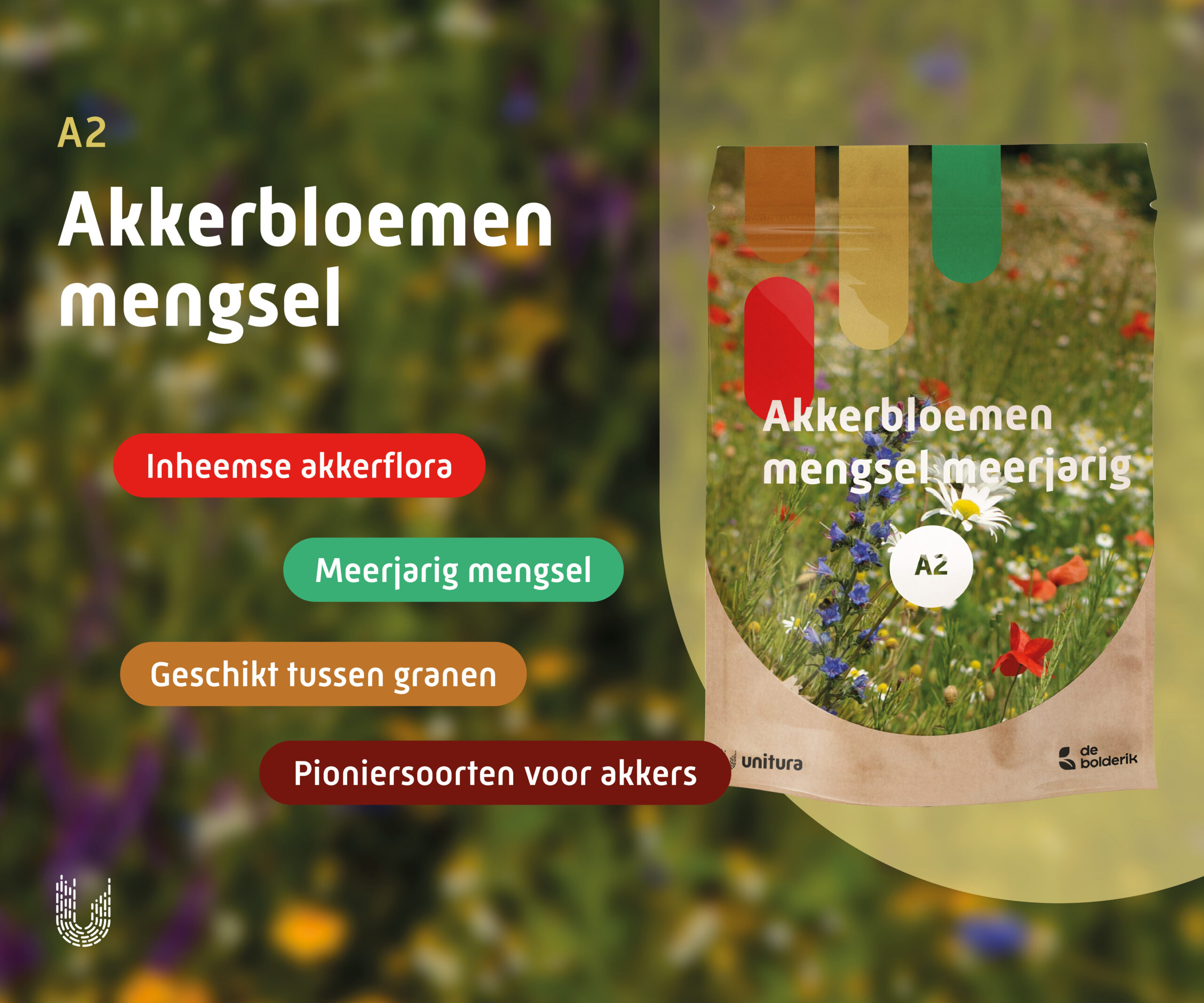 A2 | Akkerbloemenmengsel Meerjarig