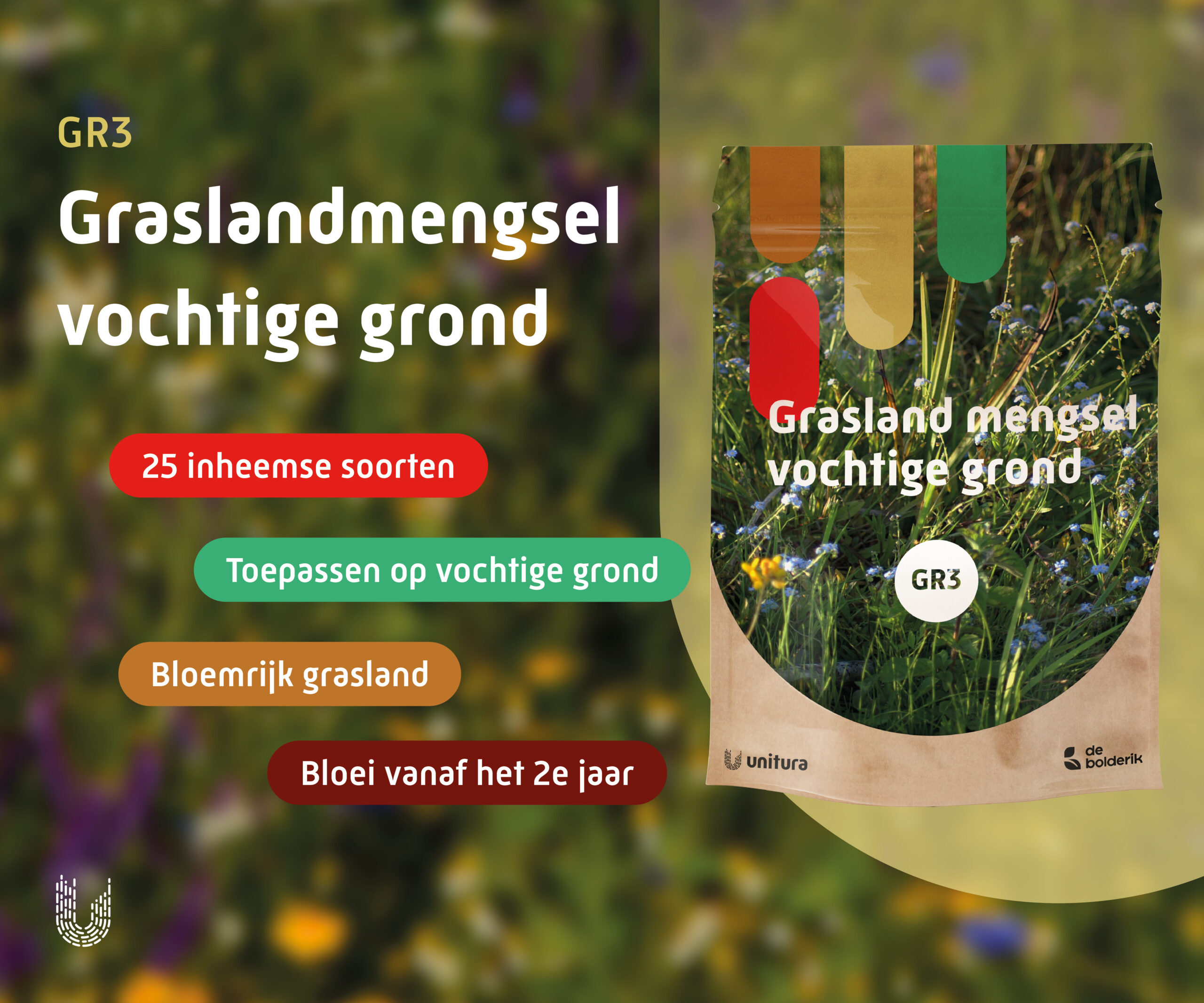 GR3 | Graslandmengsel vochtige tot natte grond
