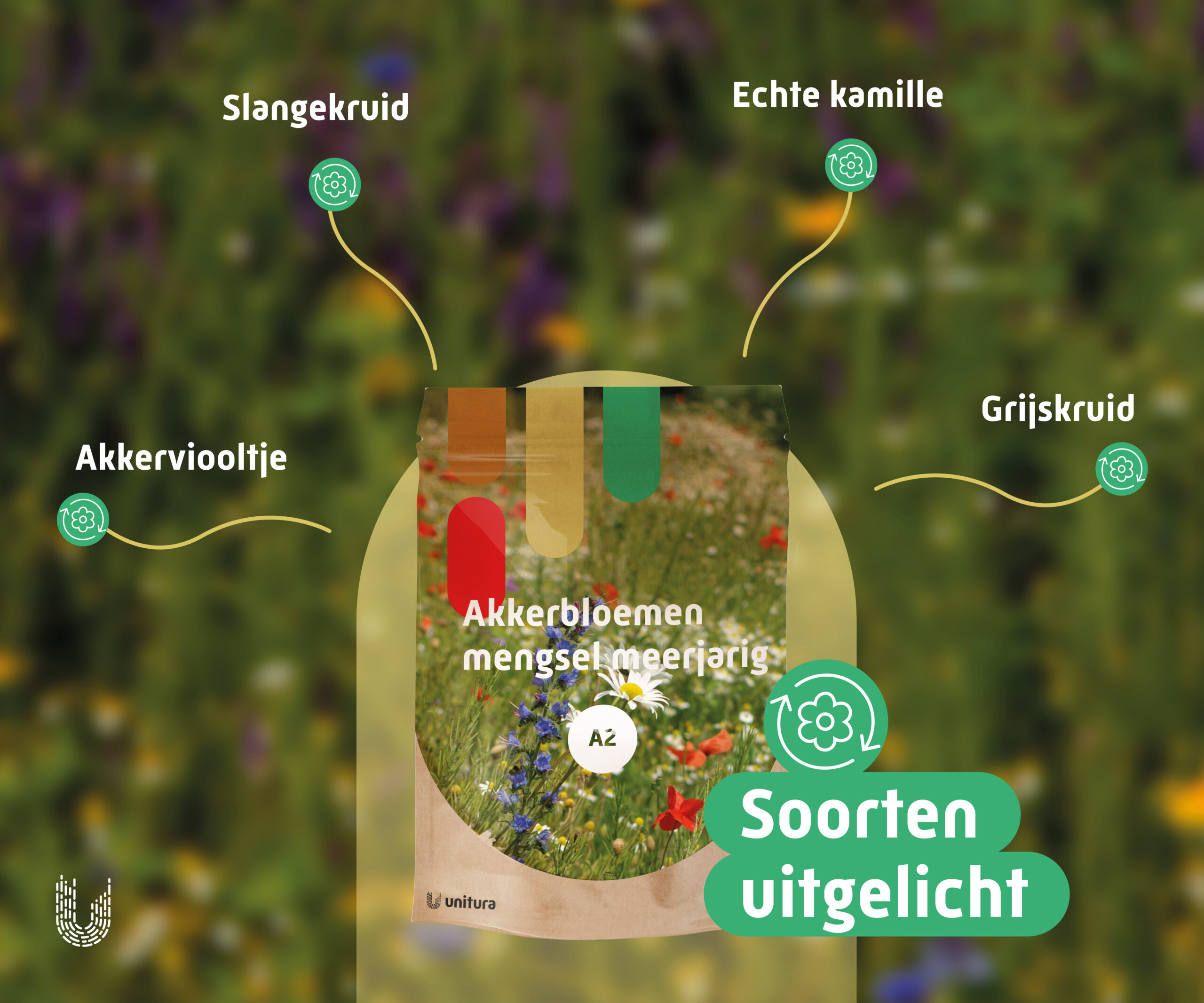 A2 | Akkerbloemenmengsel Meerjarig