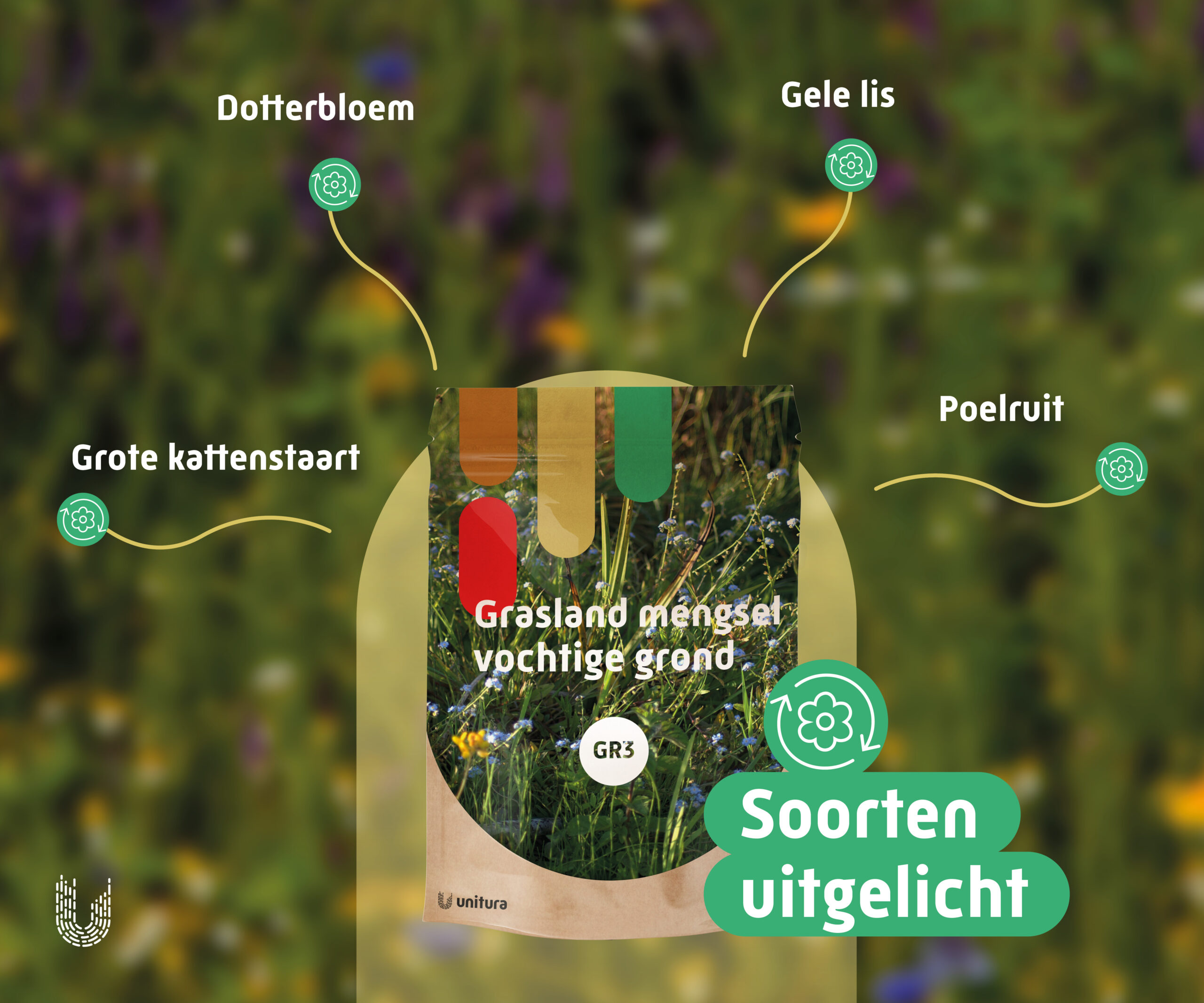 GR3 | Graslandmengsel vochtige tot natte grond