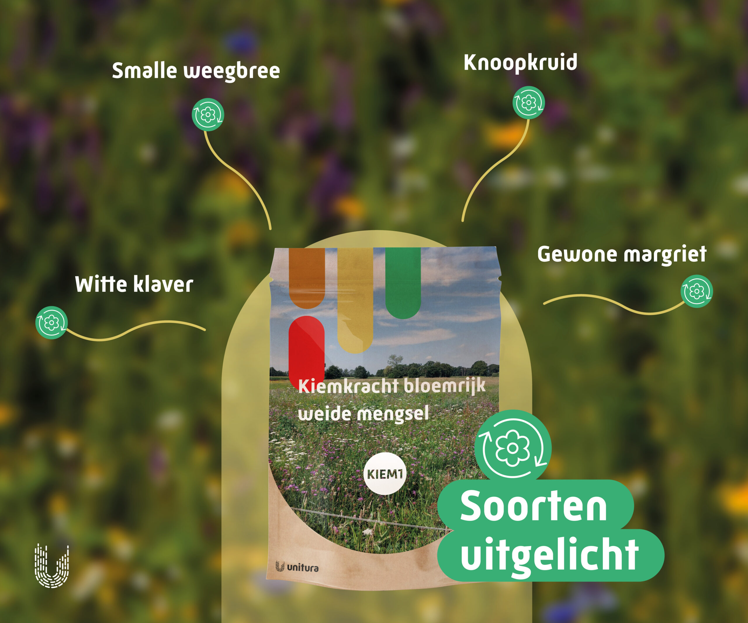 KIEM1 | Kiemkracht bloemrijk weidemengsel