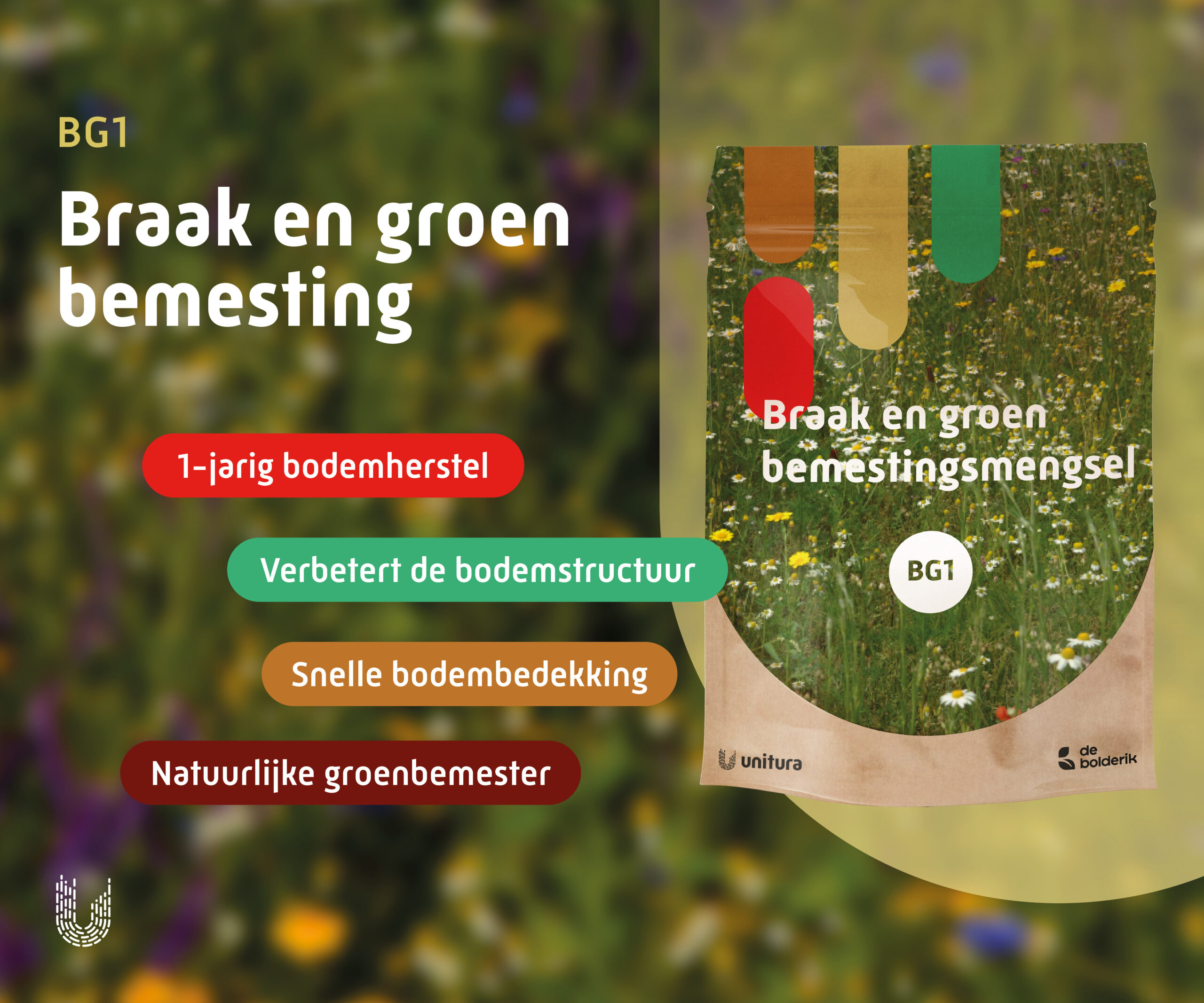 BG1 | Braak en groenbemesting