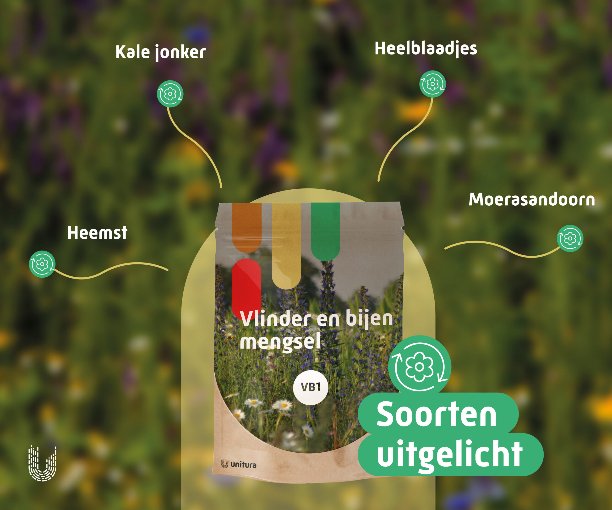 VB1 | Vlinder- en bijenmengsel vochtige grond