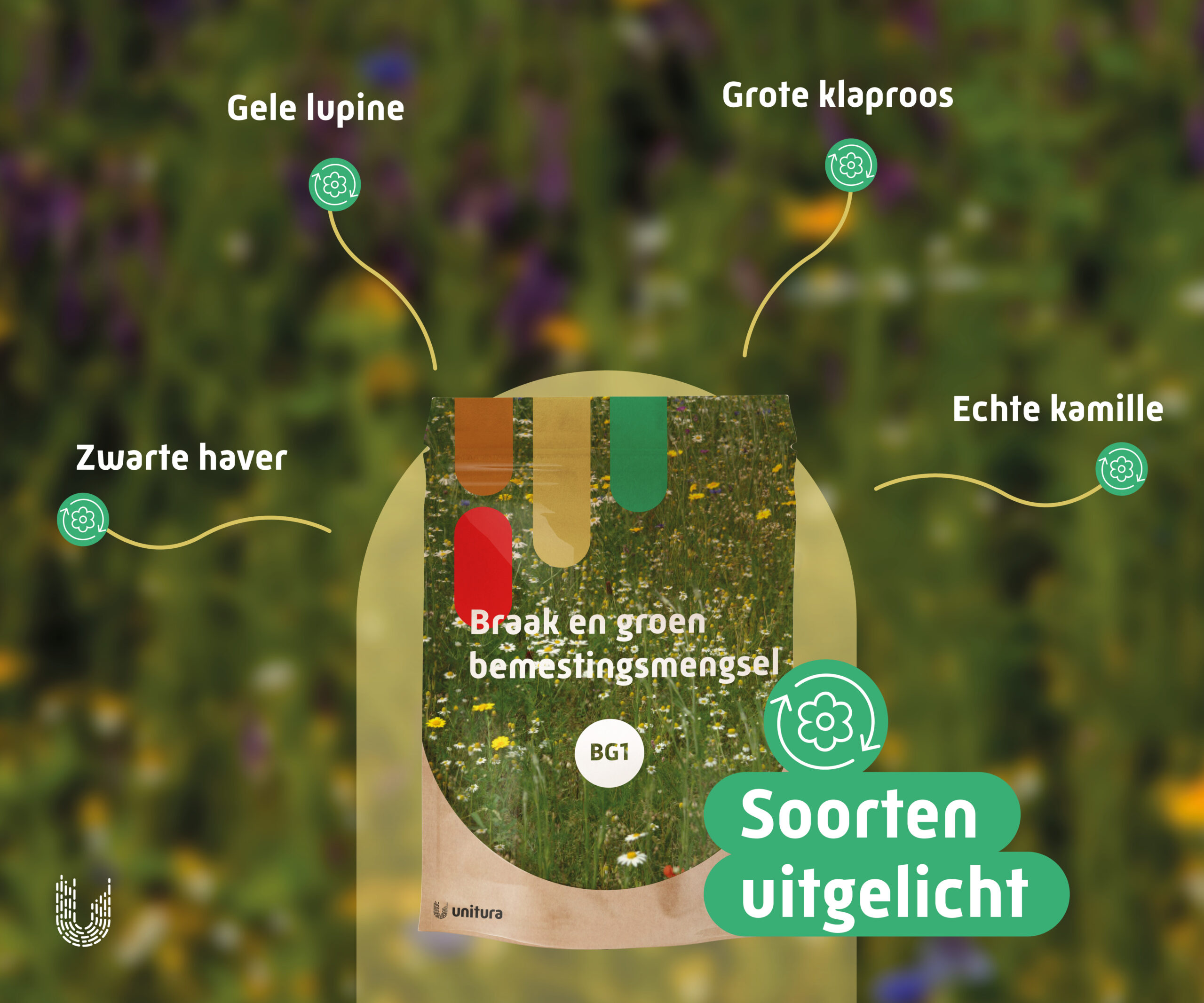 BG1 | Braak en groenbemesting