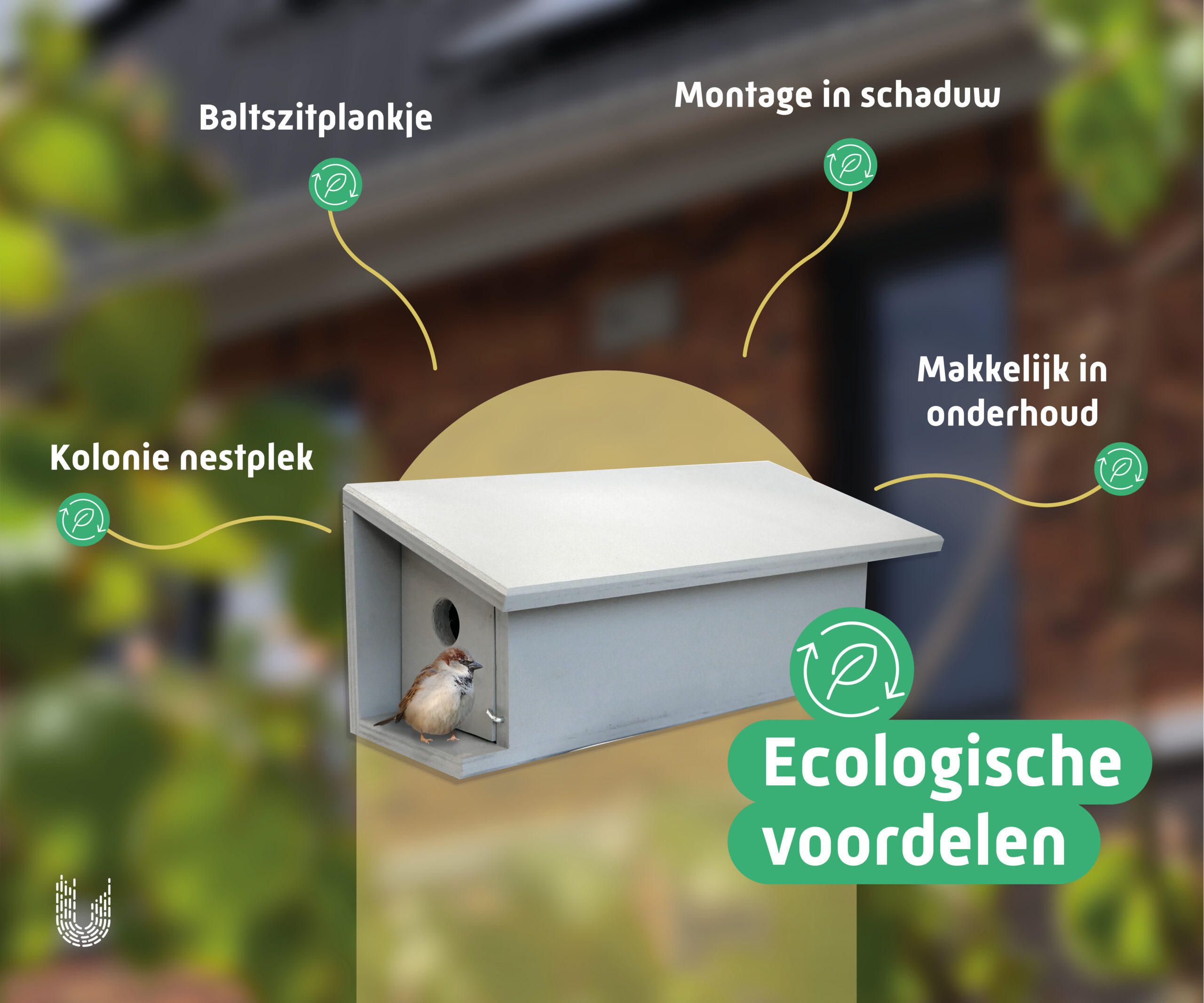 HMT2 | Huismuskast