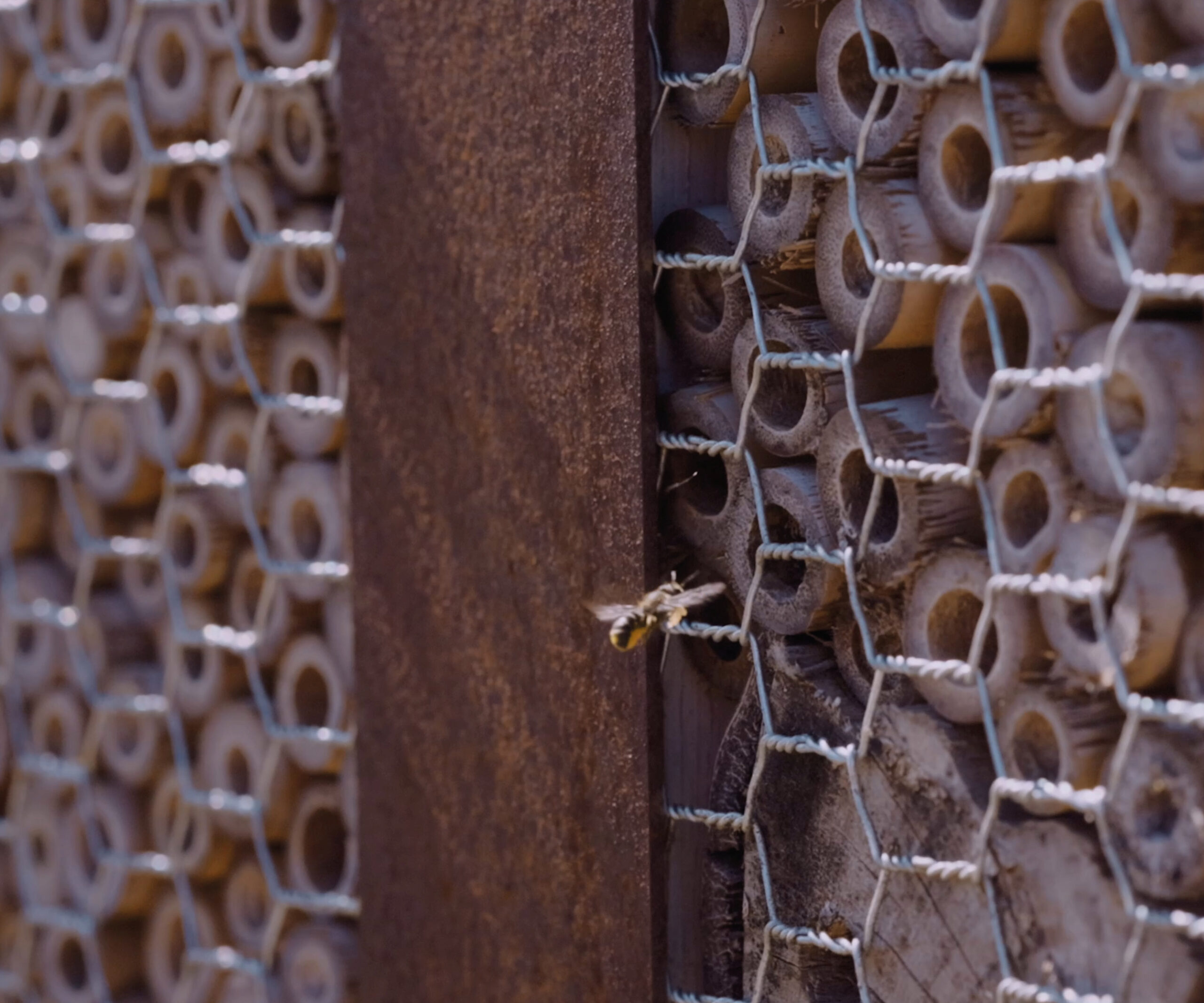 IHPM | Insectenhotel Pro Medium