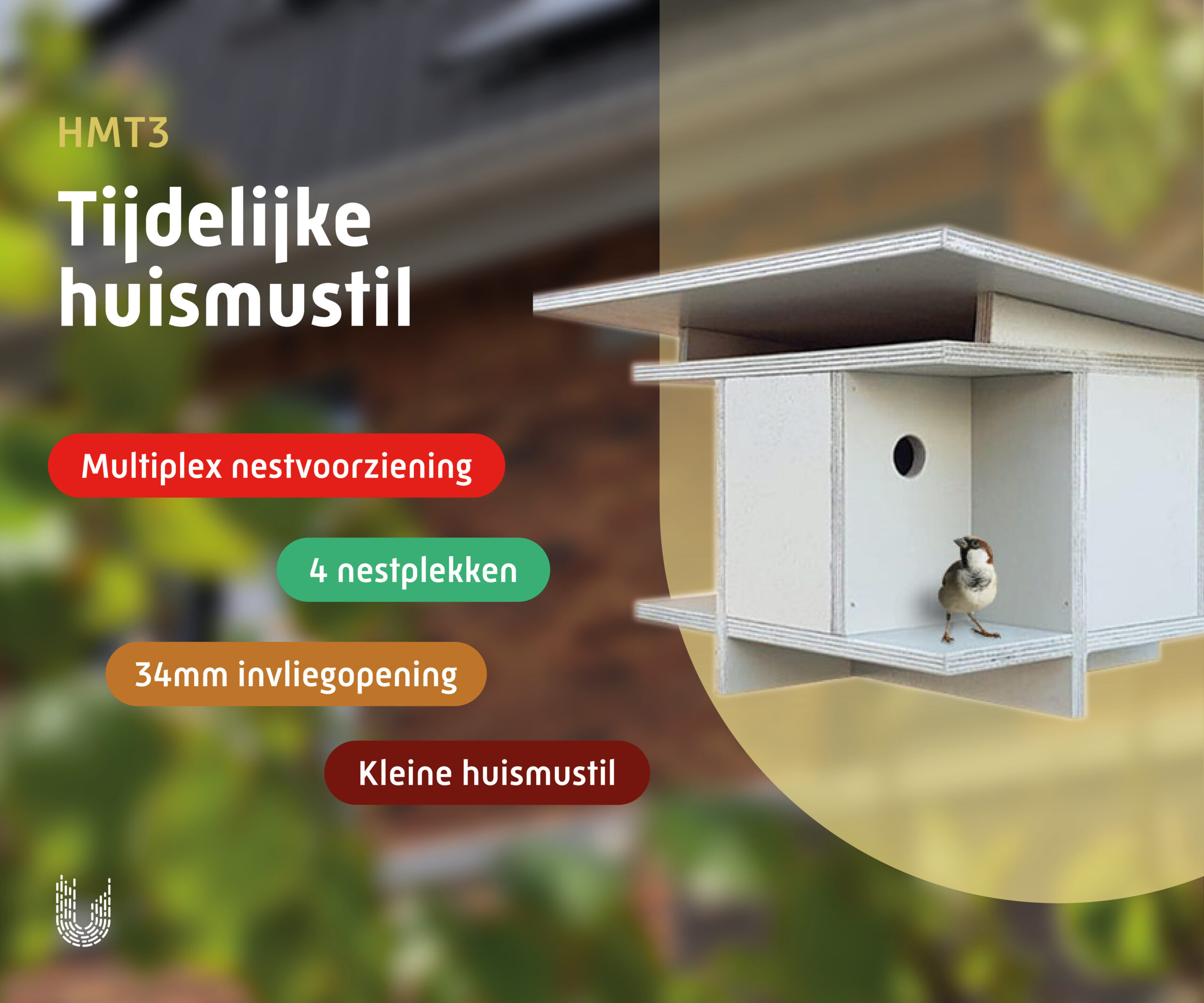 HMT3 | Huismustil