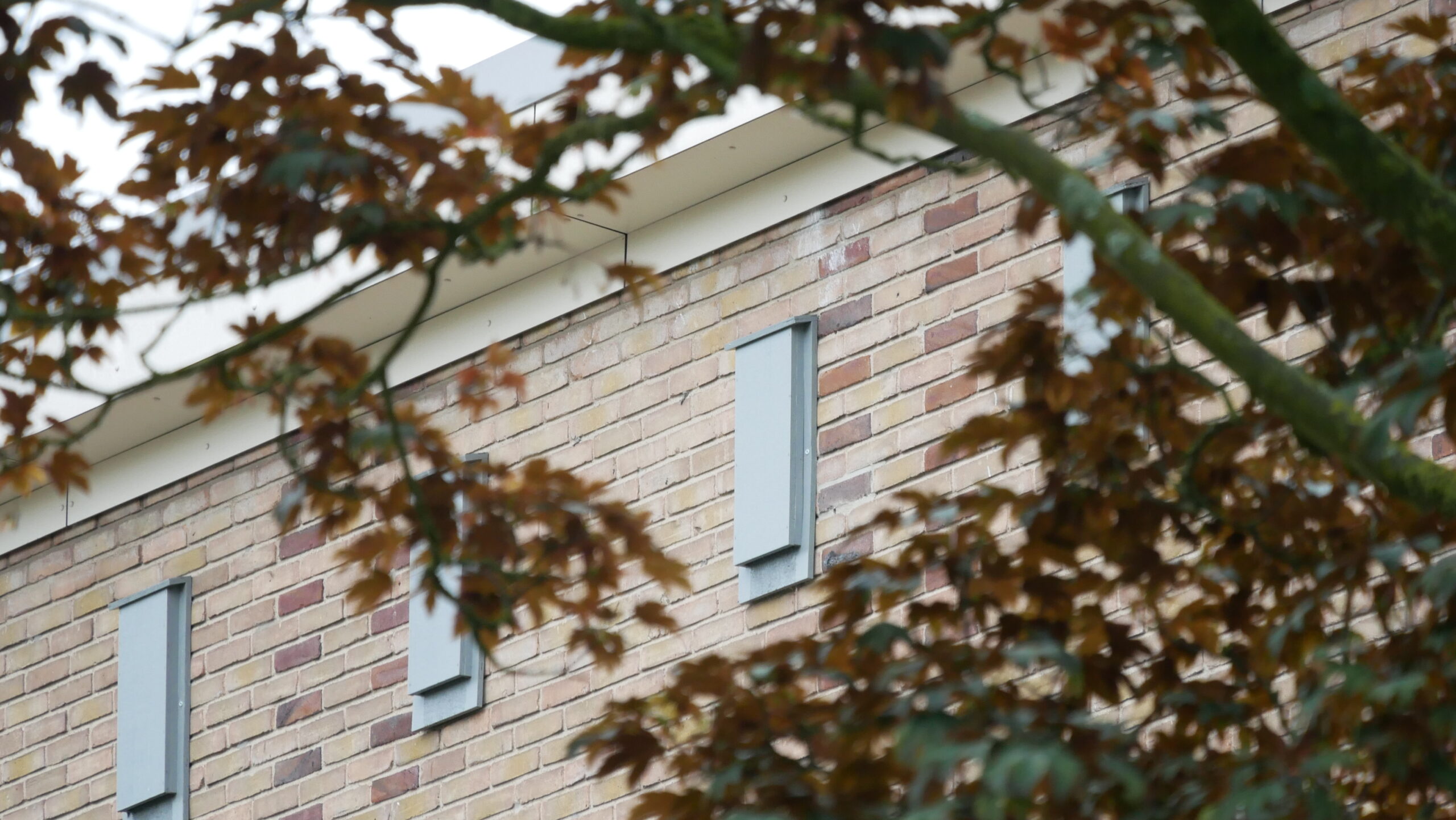 Kraamvoorzieningen in Gemeente Bunschoten