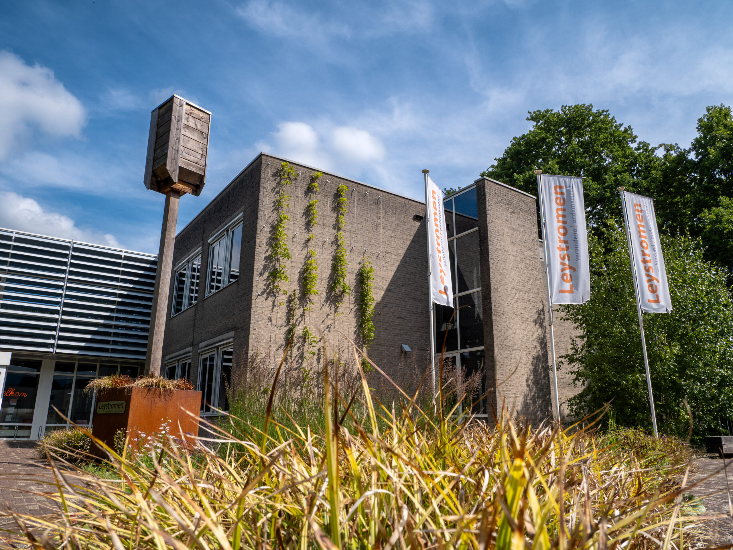 Biodiverse Groengevel Leystromen