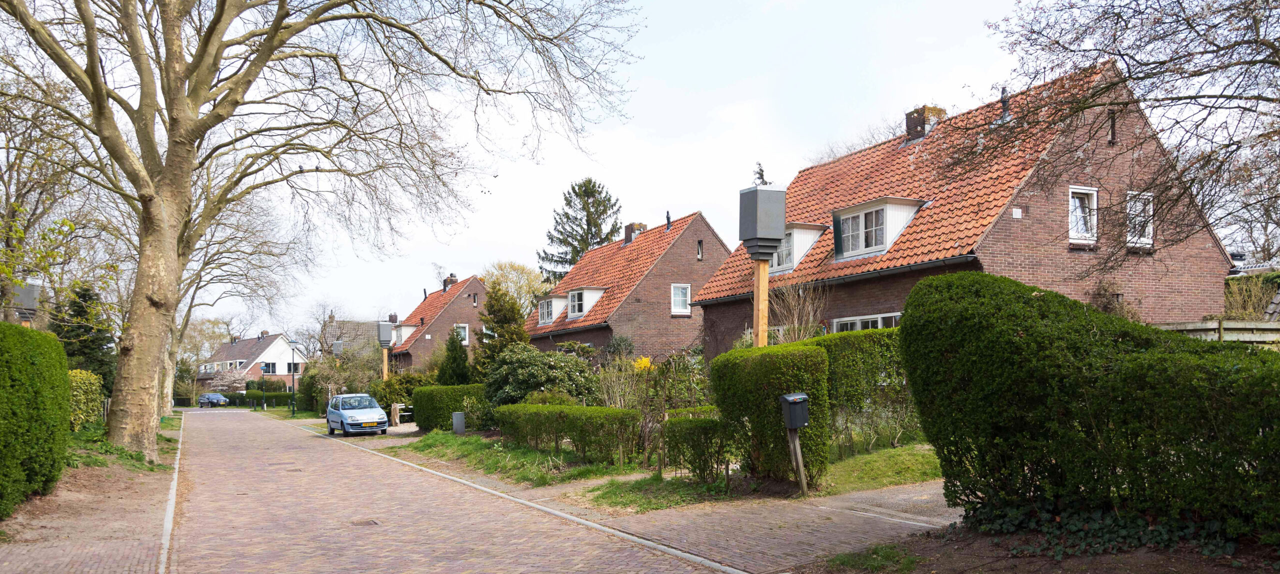 vleermuistillen in Blaricum