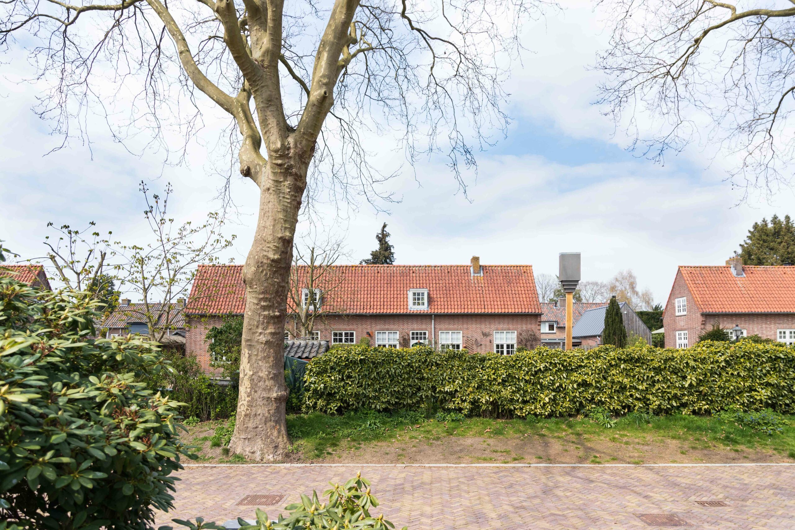 vleermuistillen in Blaricum