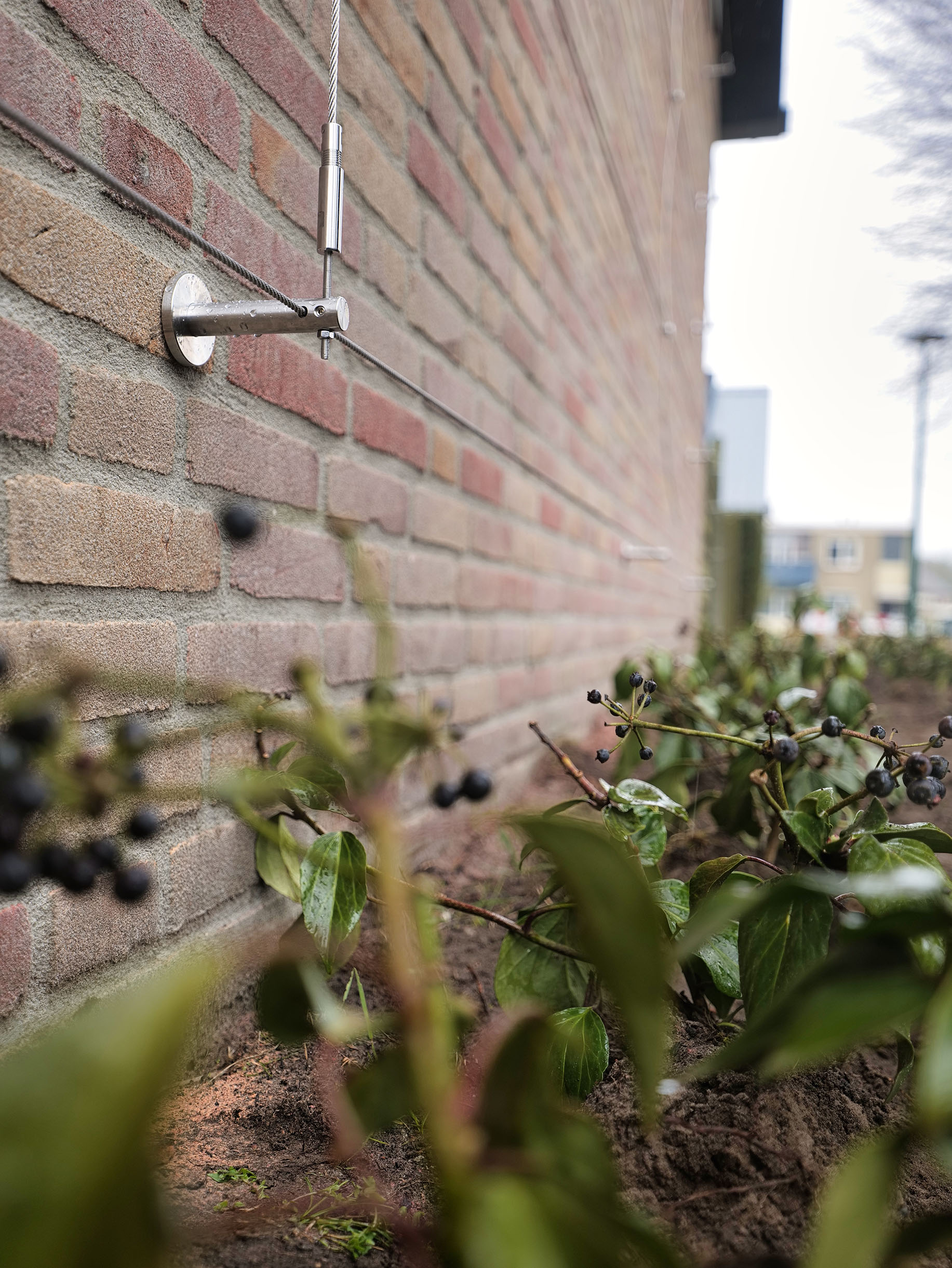 Groengevels met vuurdoorn en RVS klimhulpsysteem in Dongen