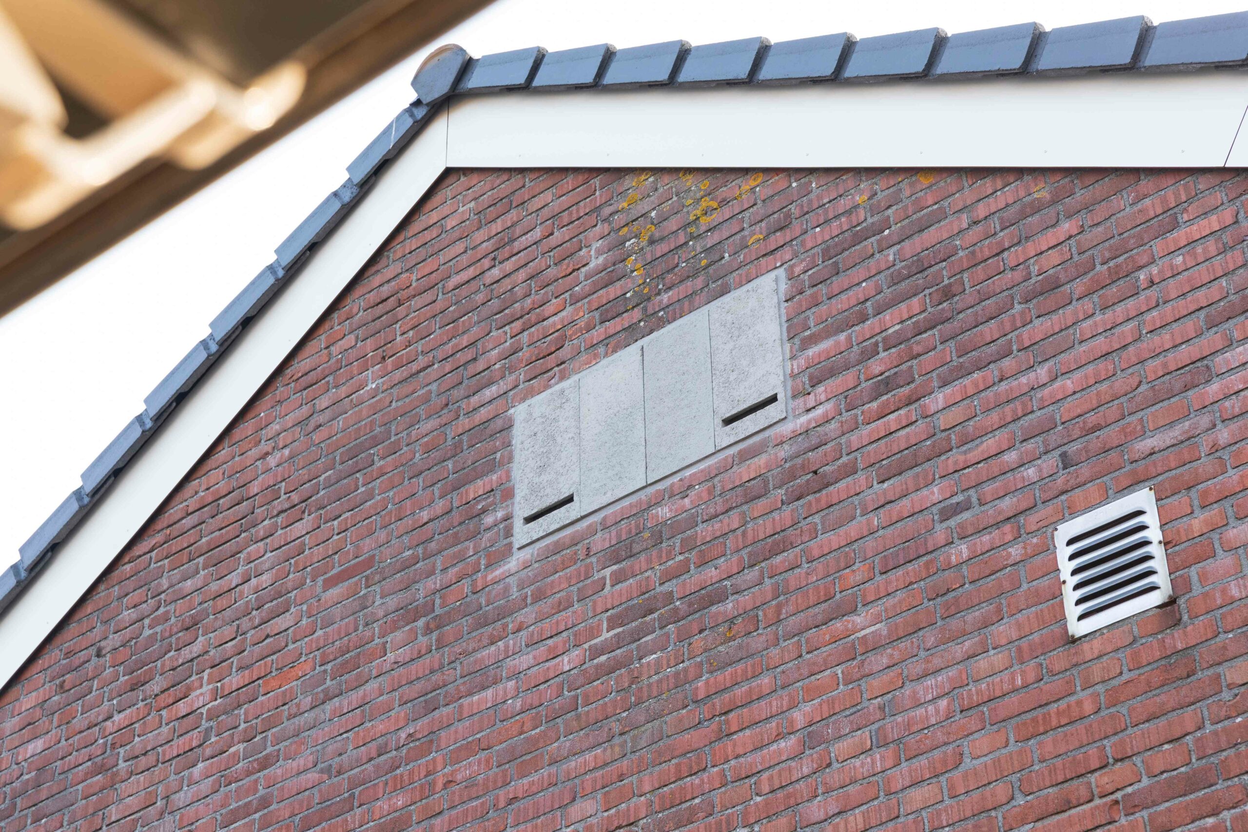 Grote permanente Vleermuiskast van Unitura