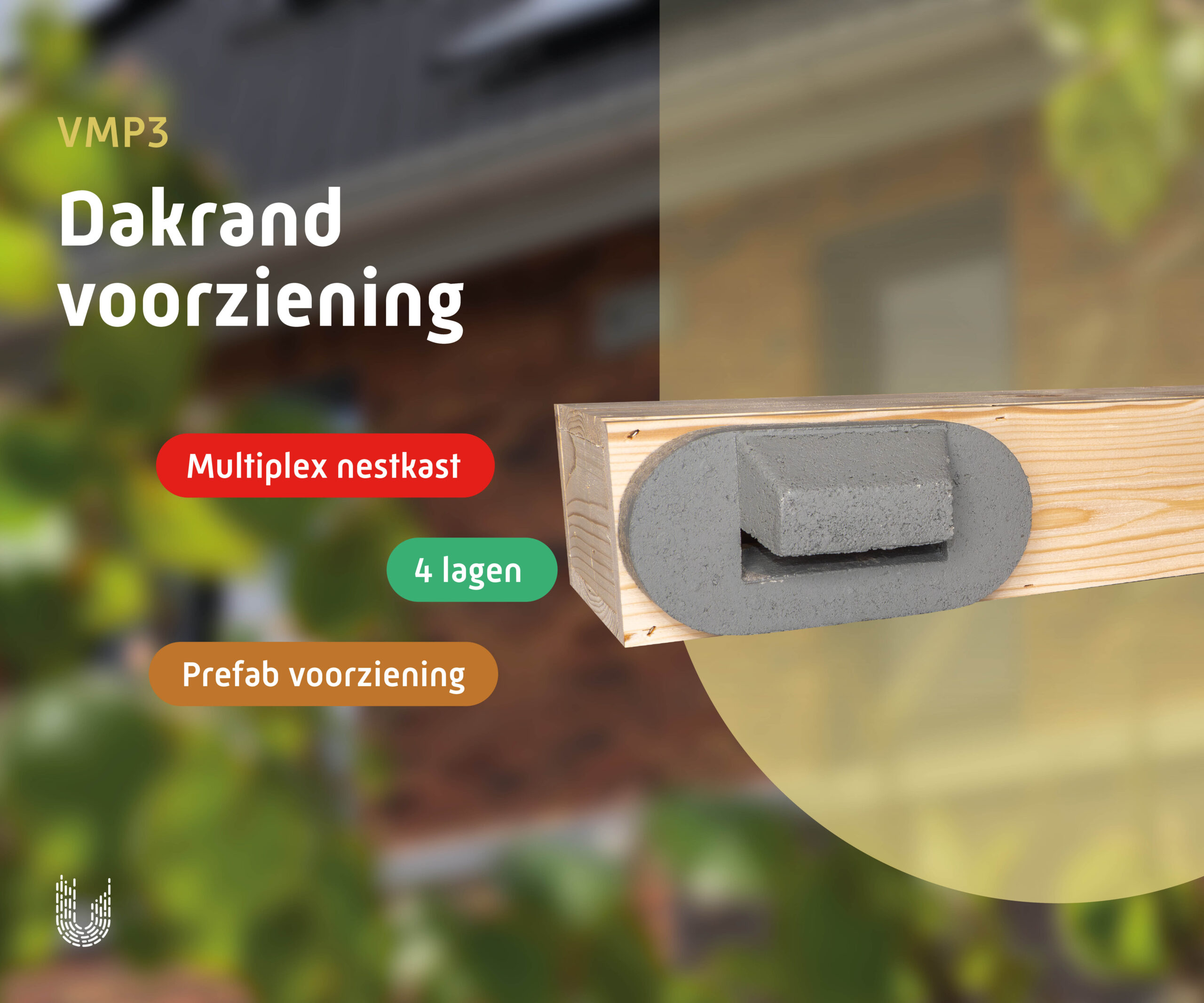 VMP3 | Vleermuiskast