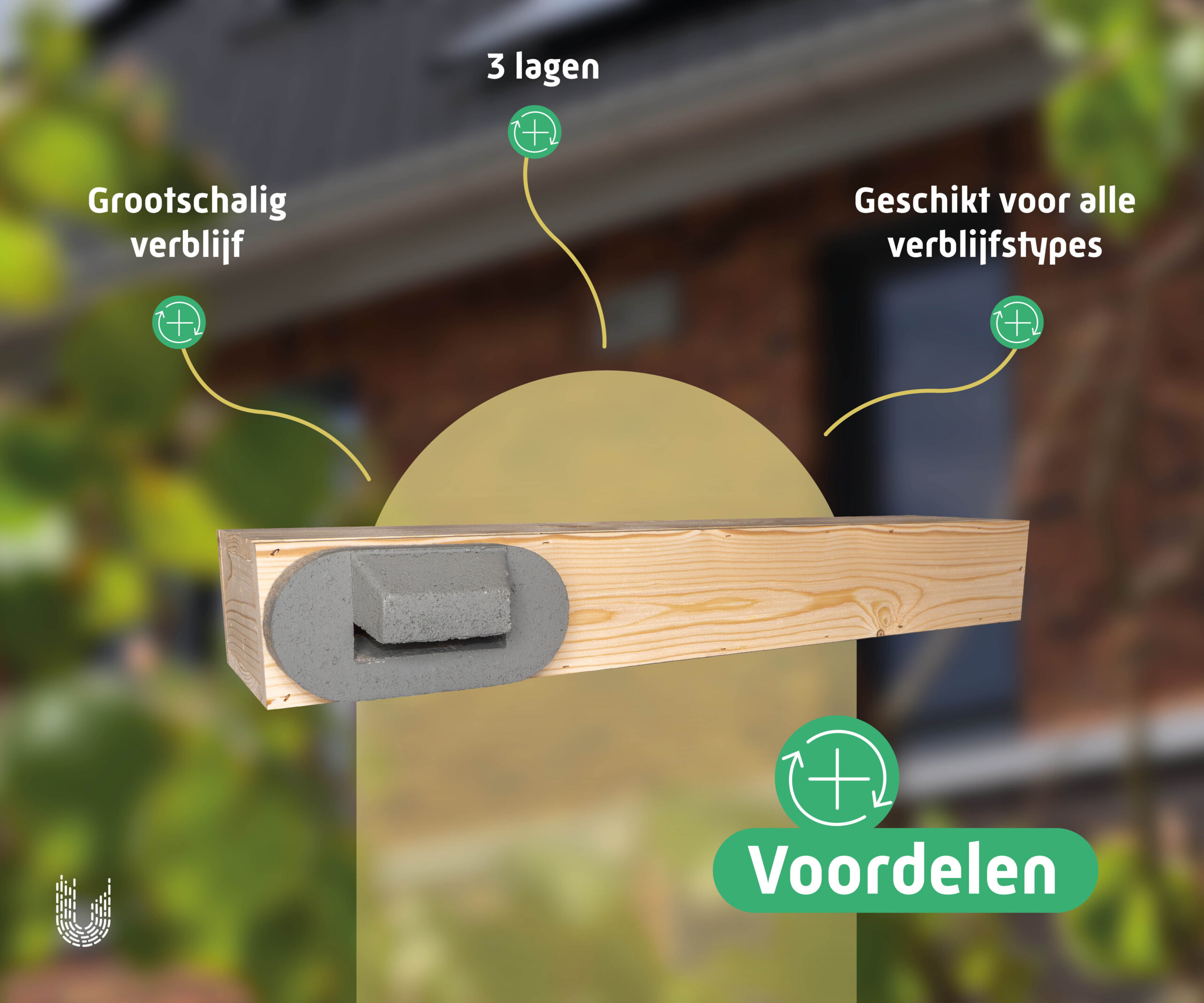 VMP3 | Vleermuiskast