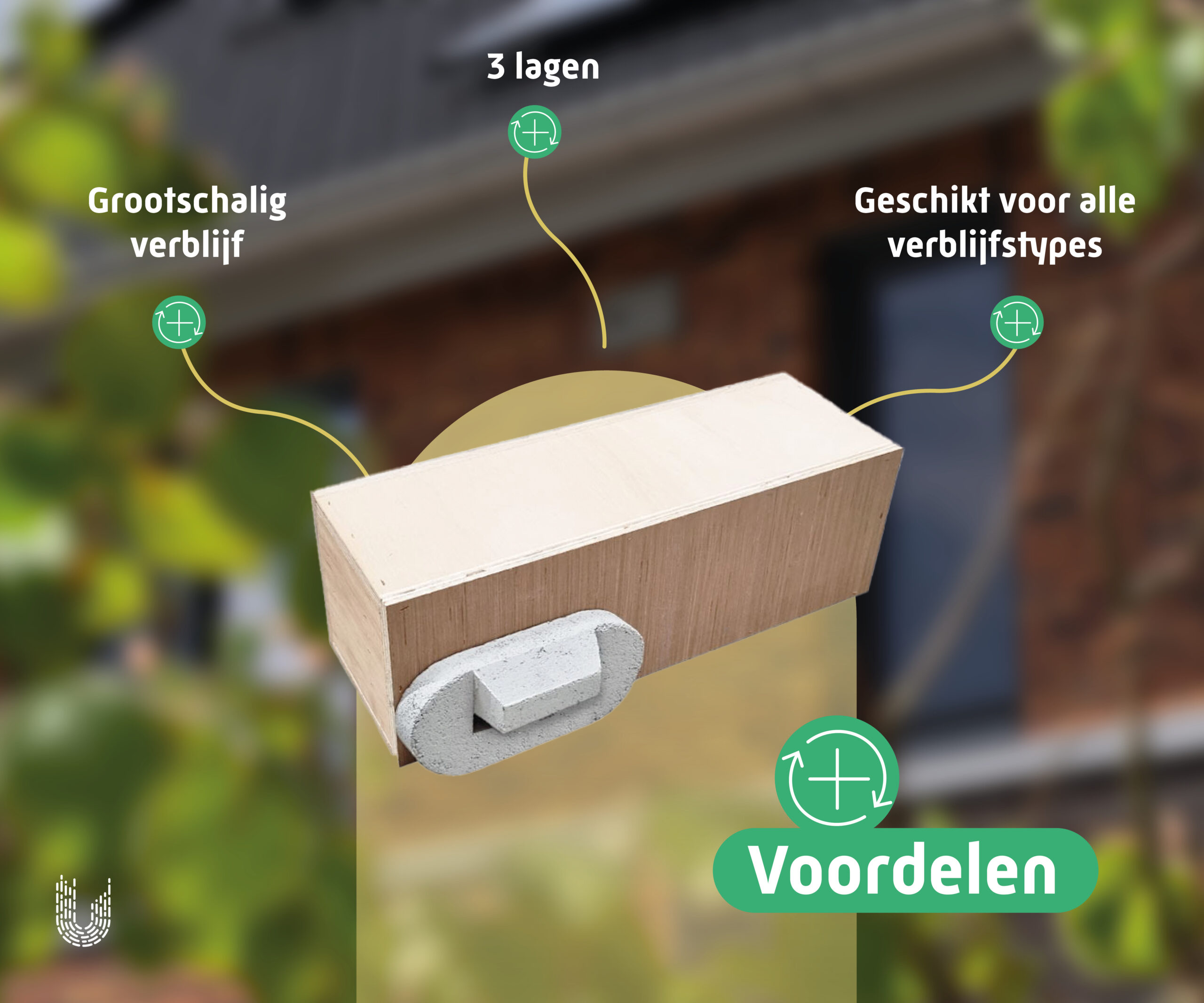 VMP3 | Vleermuiskast