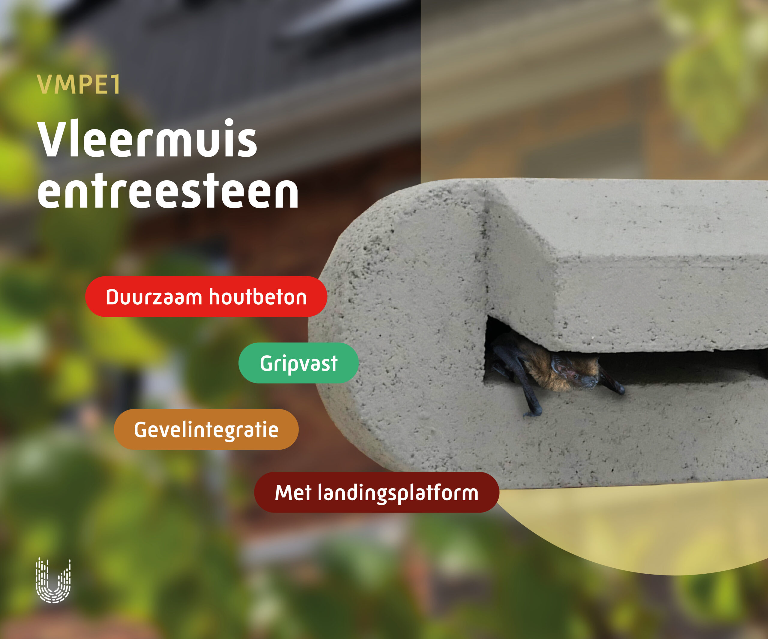 VMPE1 | Vleermuis entreesteen