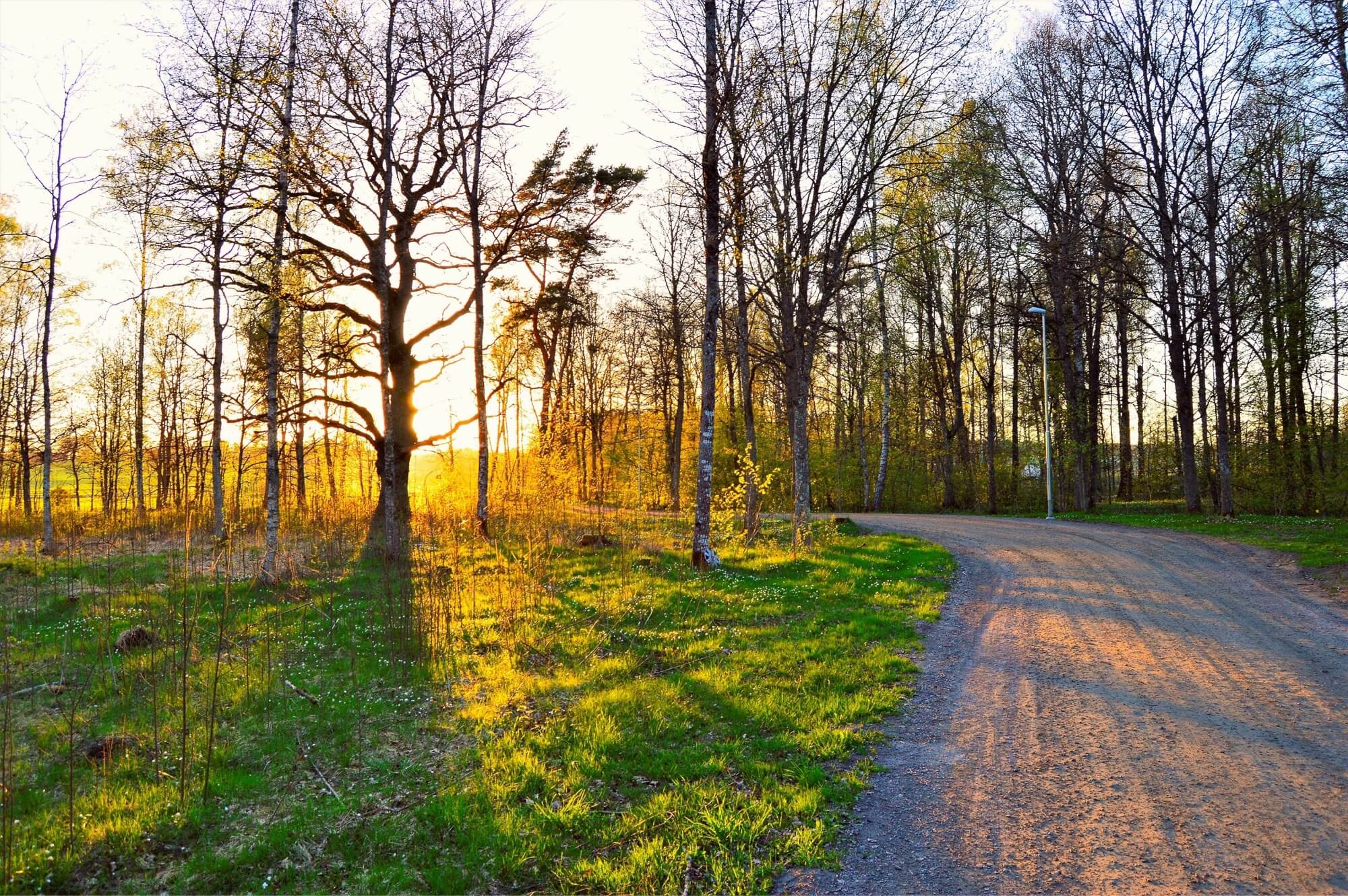 Zoogdierkasten