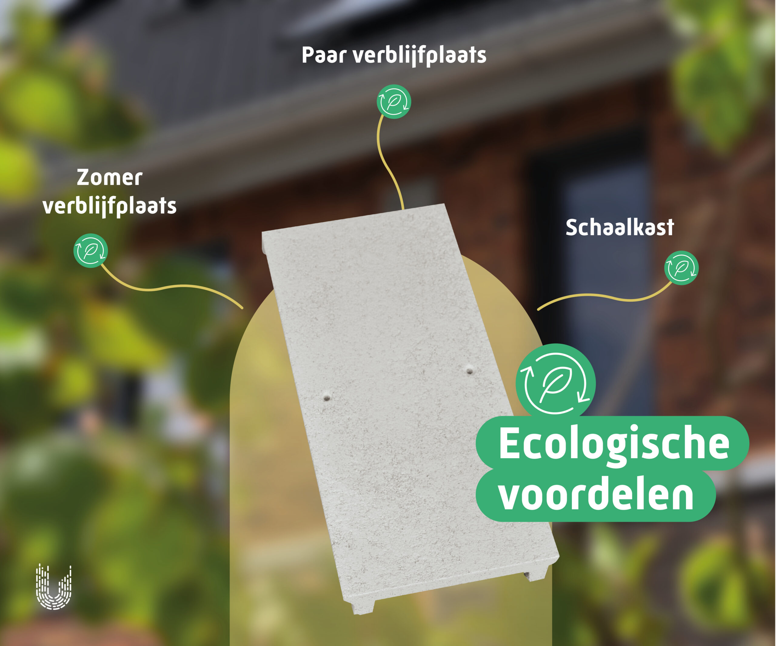 VMTH1 | Vleermuiskast