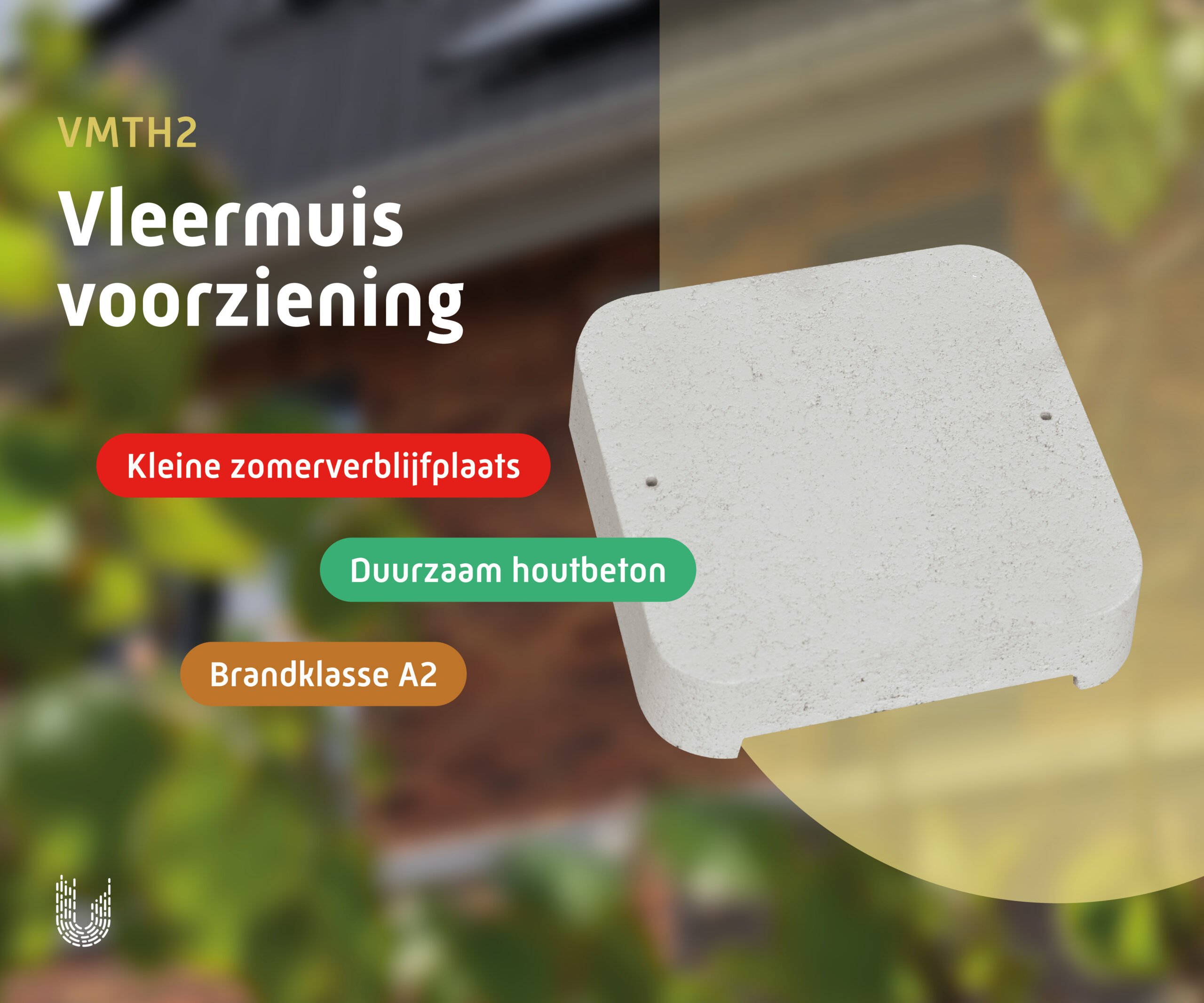 VMTH2 | Vleermuiskast