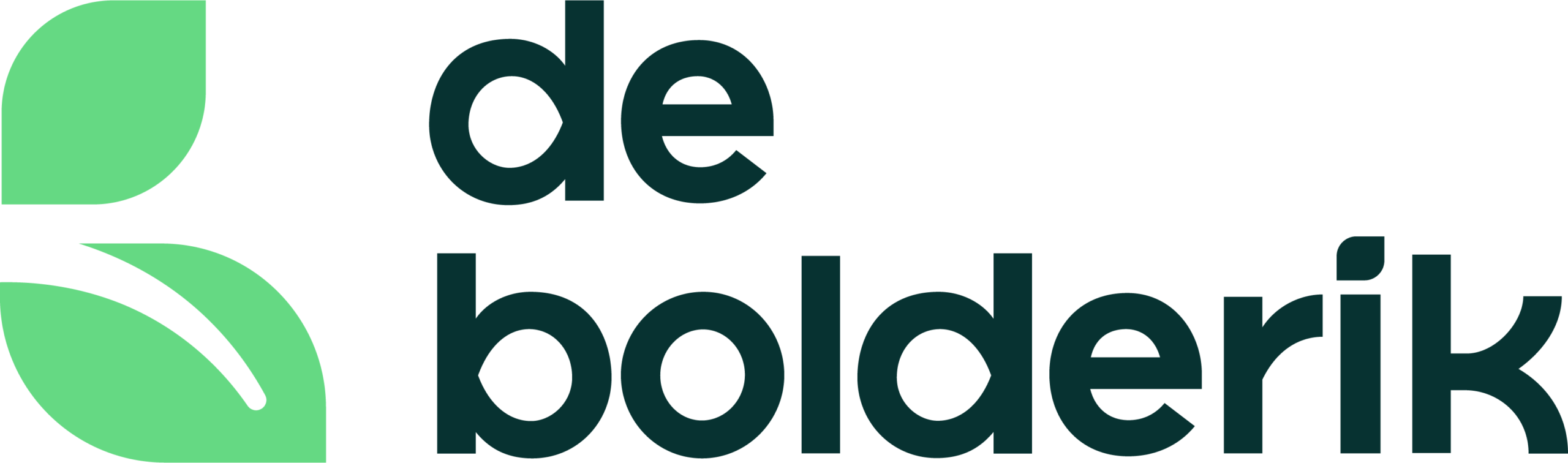 Logo Bolderik