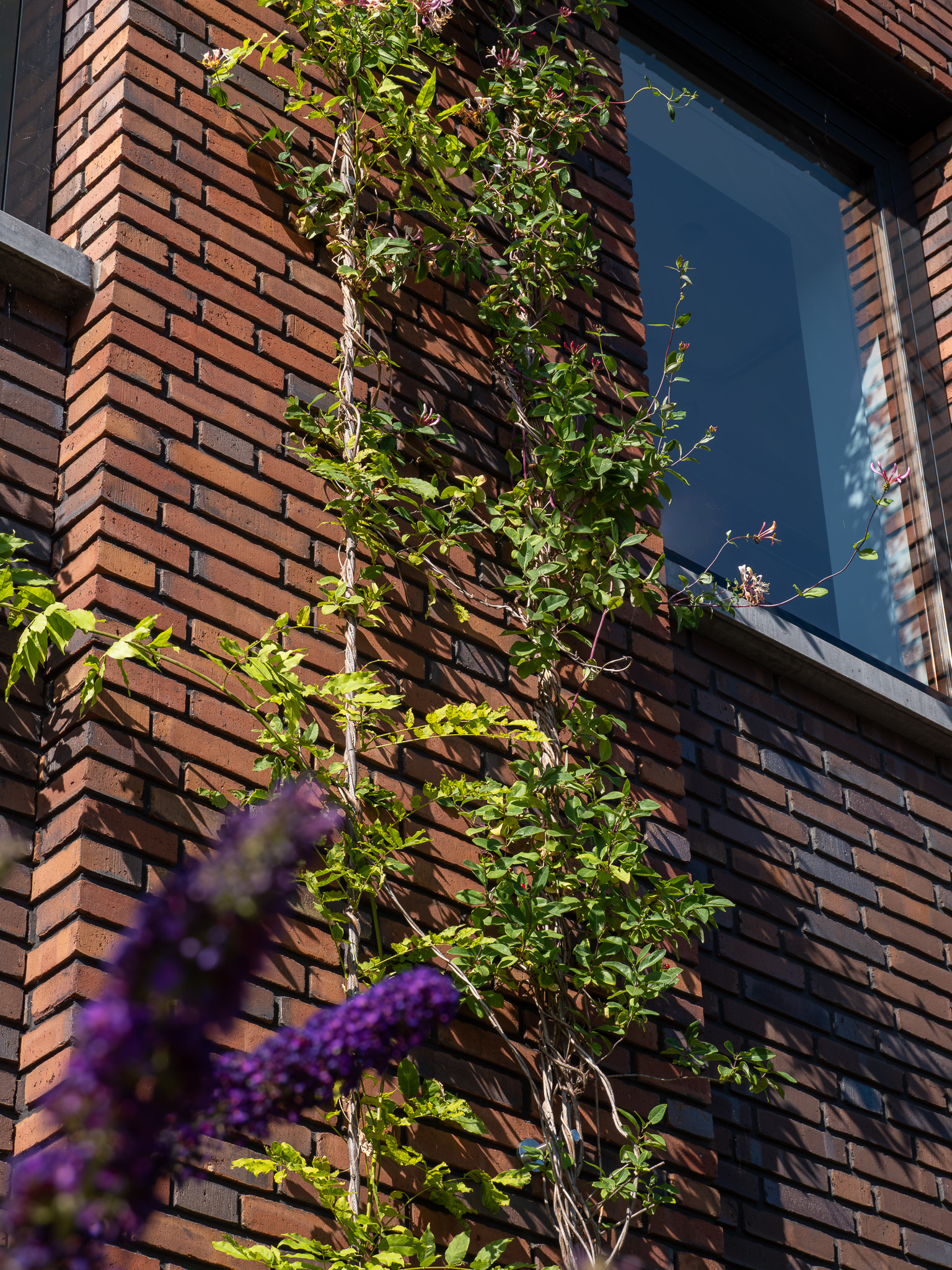 Biodiversiteitsplan Rijssen-Holten | Subsidie beschikbaar